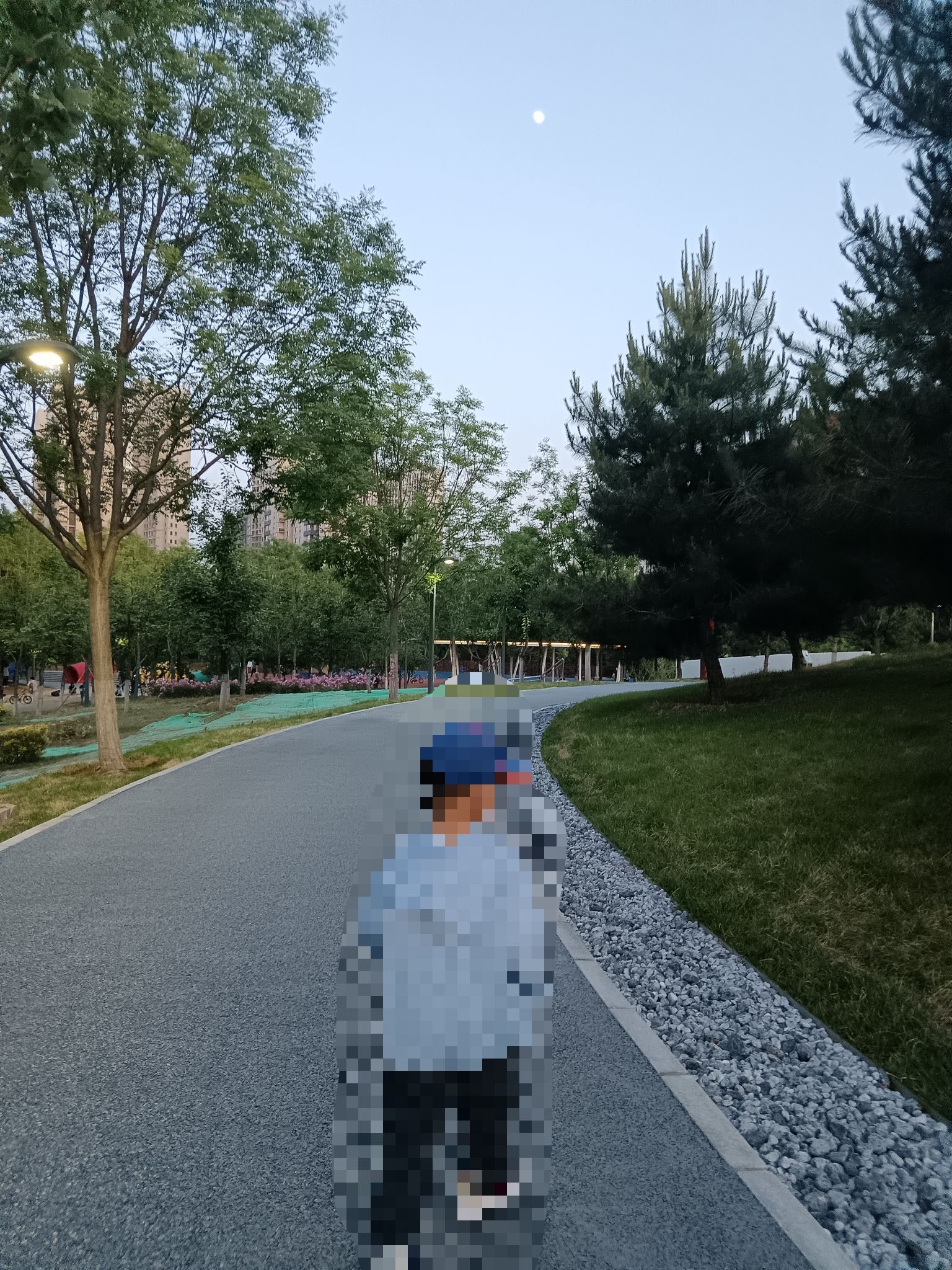 雨栖凤翔公园旅行图片 3