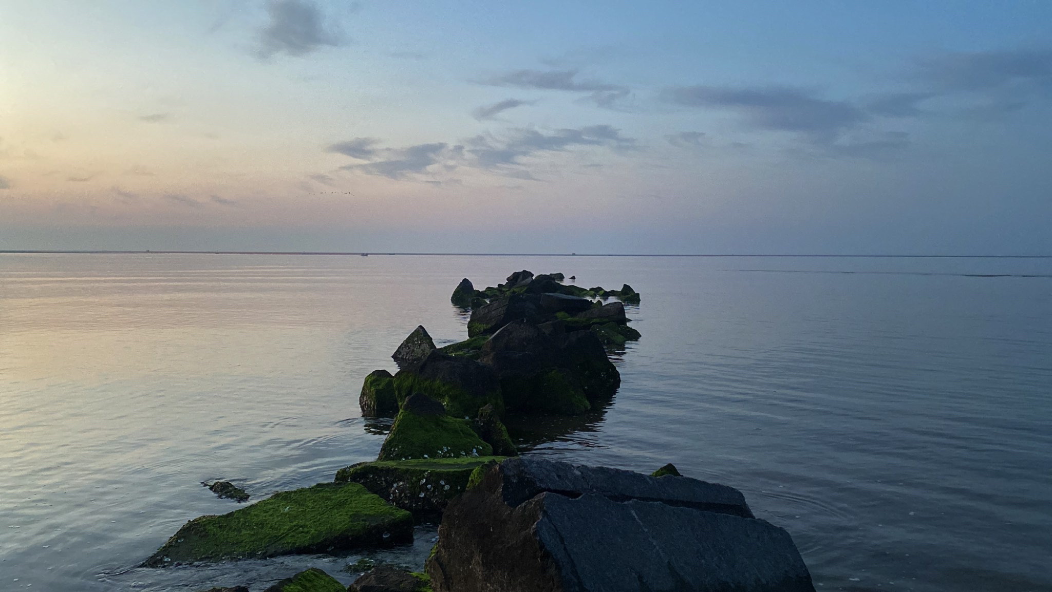 灯塔广场旅行图片 1