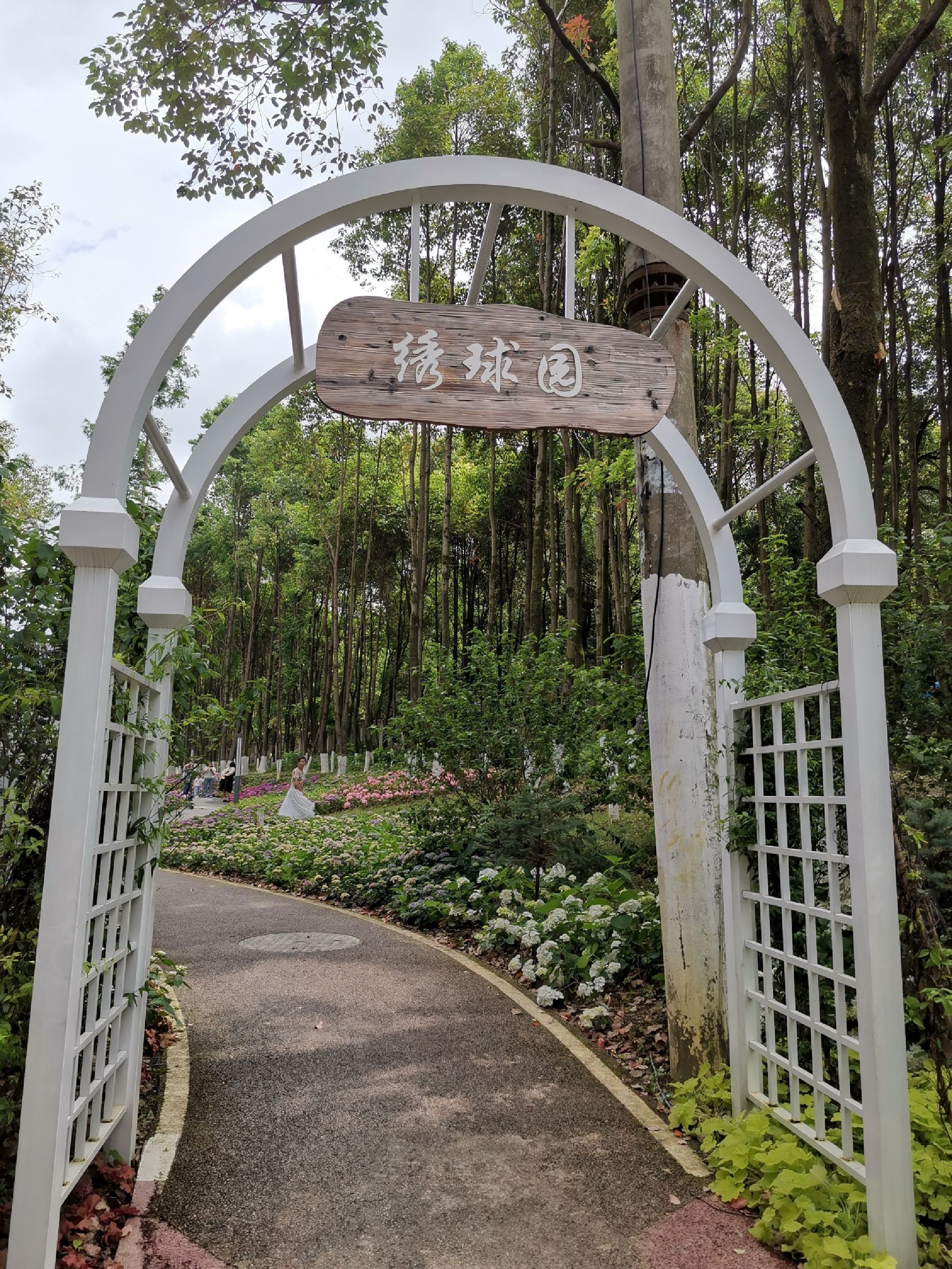 绣球园旅行图片 1
