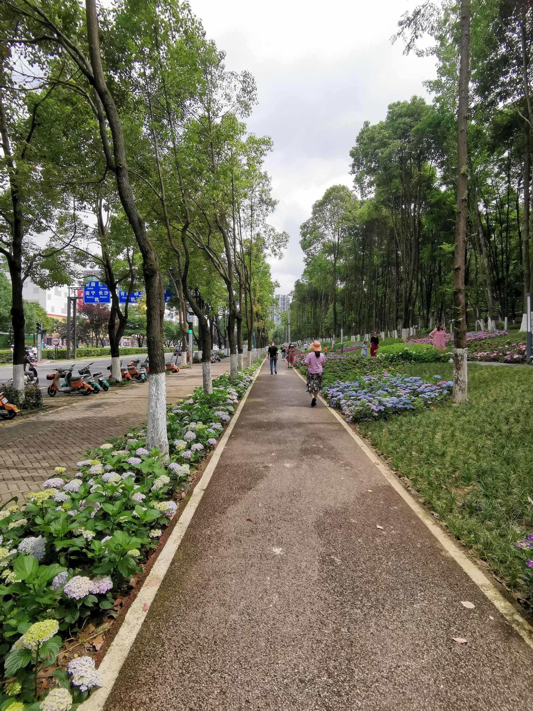 绣球园旅行图片 3