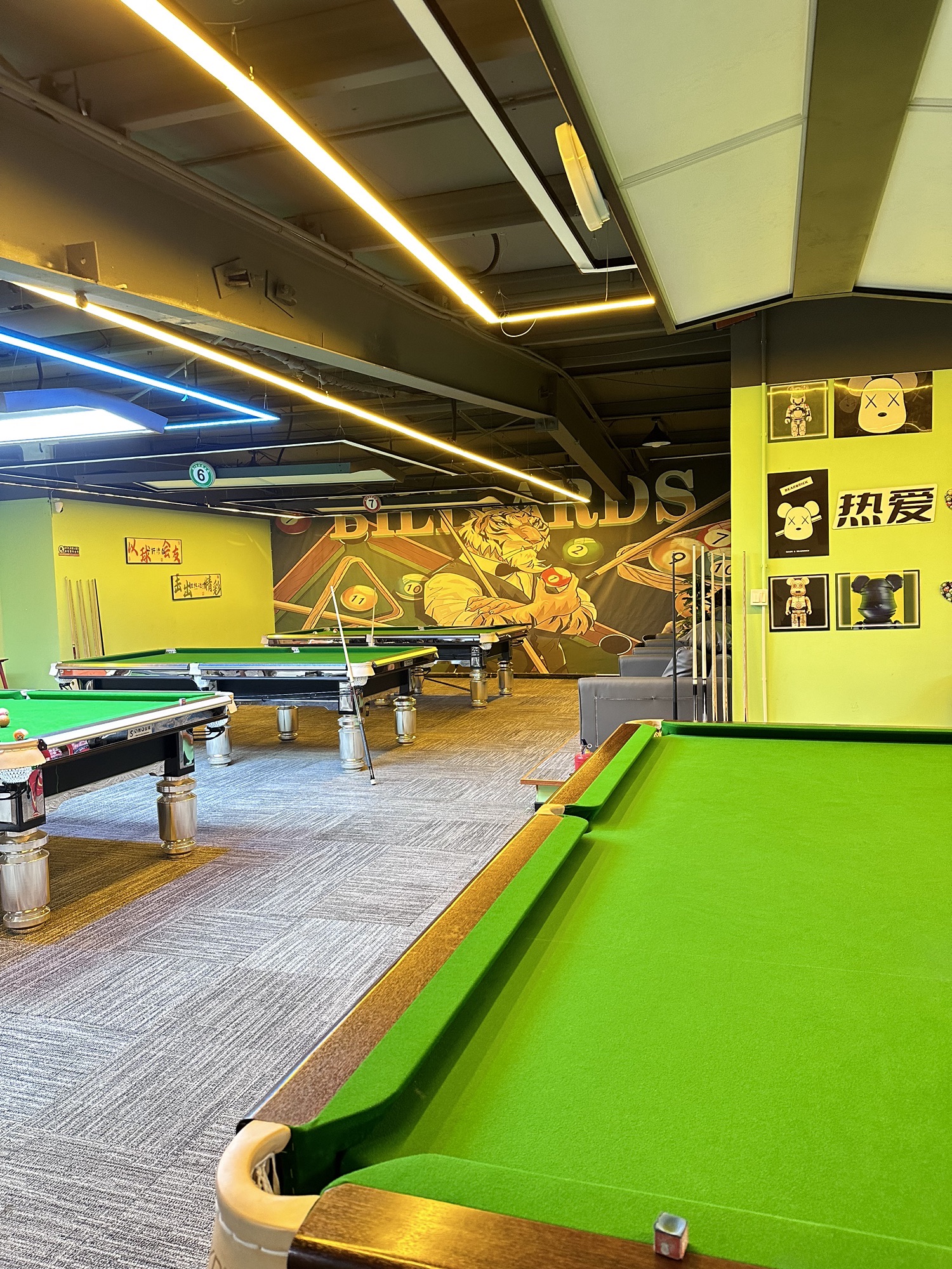 胜8康溪盛世台球俱乐部(西潞苑小区店)