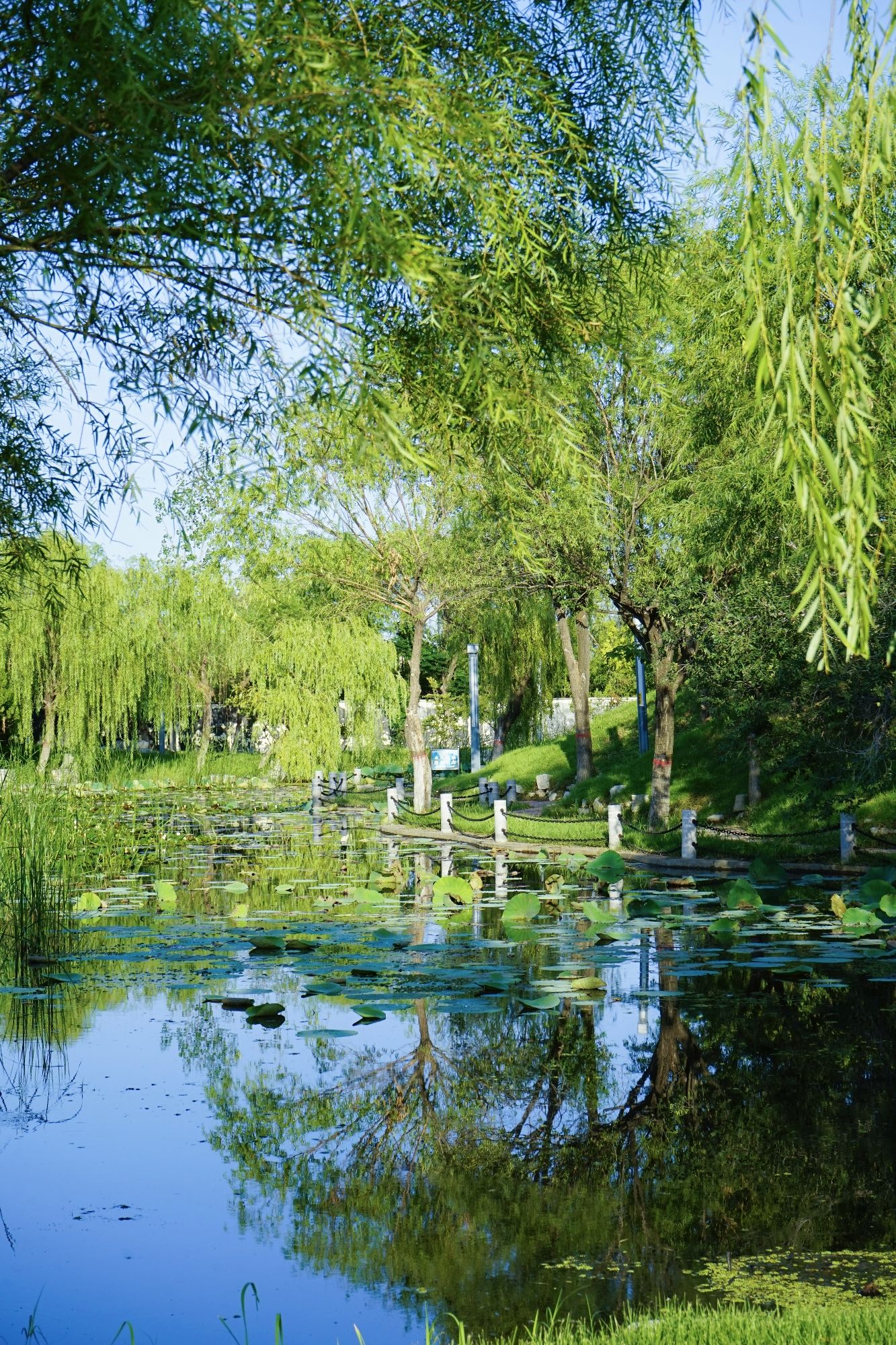 井下公园旅行图片 3