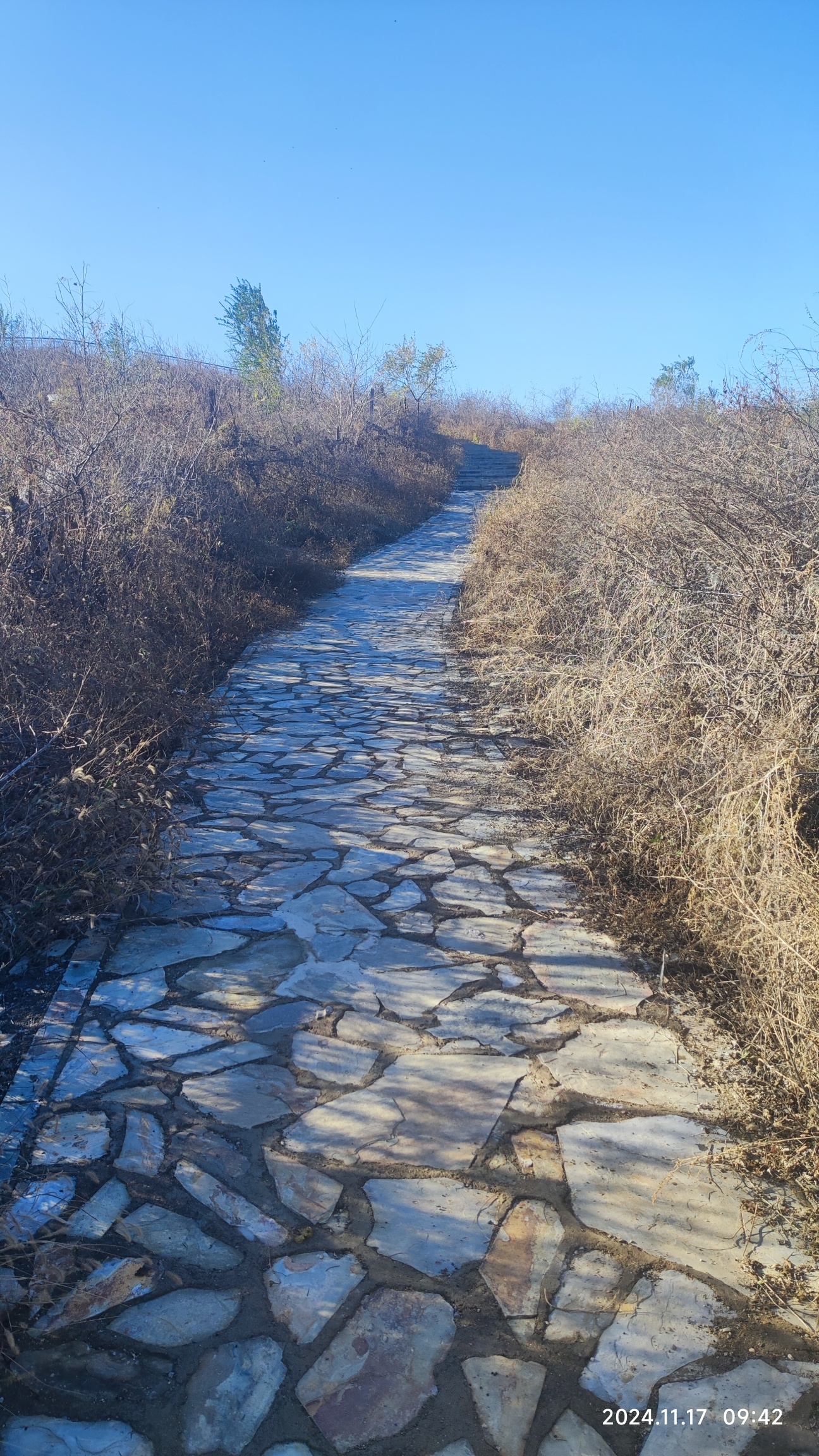金顶山公园旅行图片 2