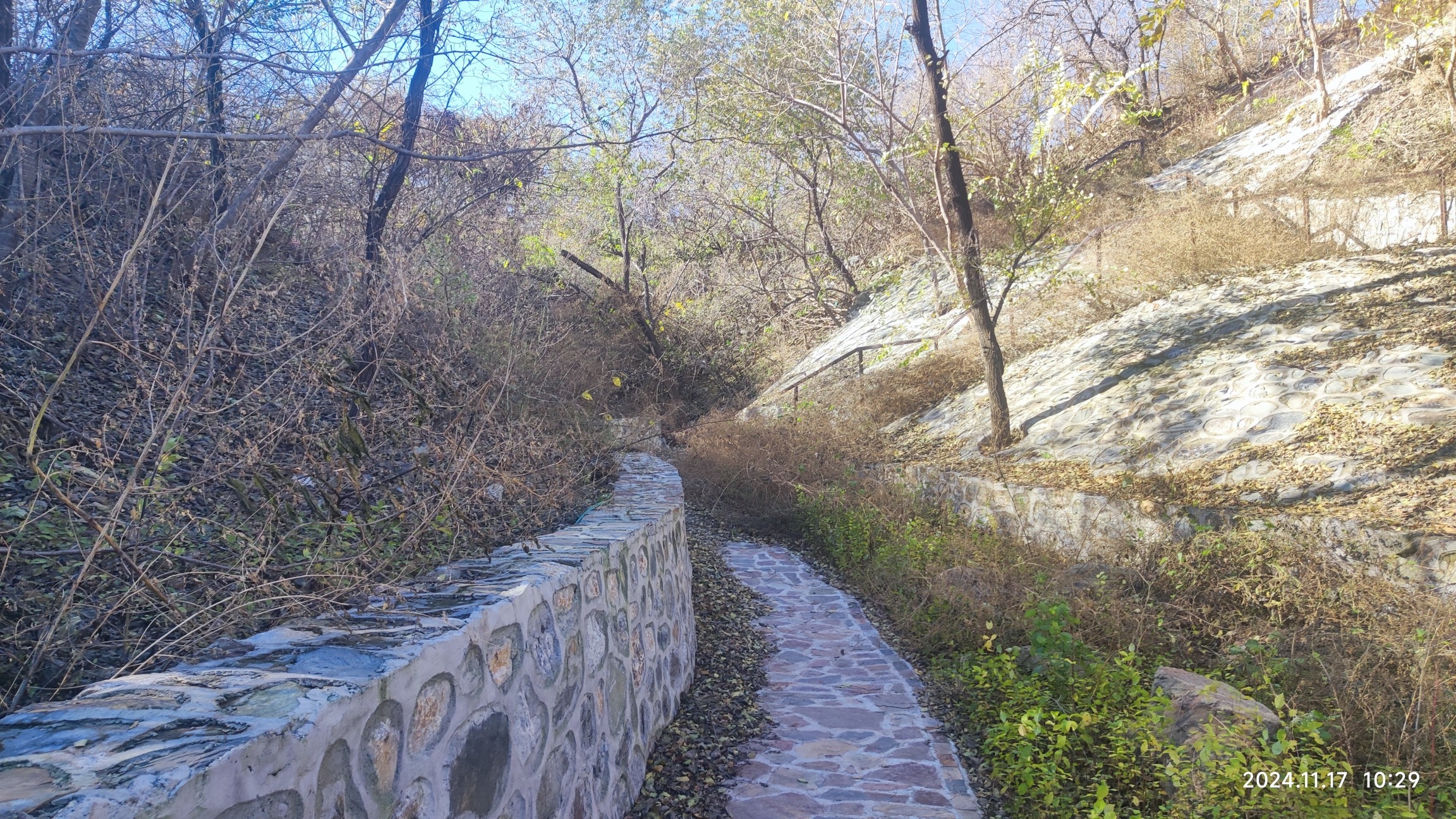 金顶山公园旅行图片 3