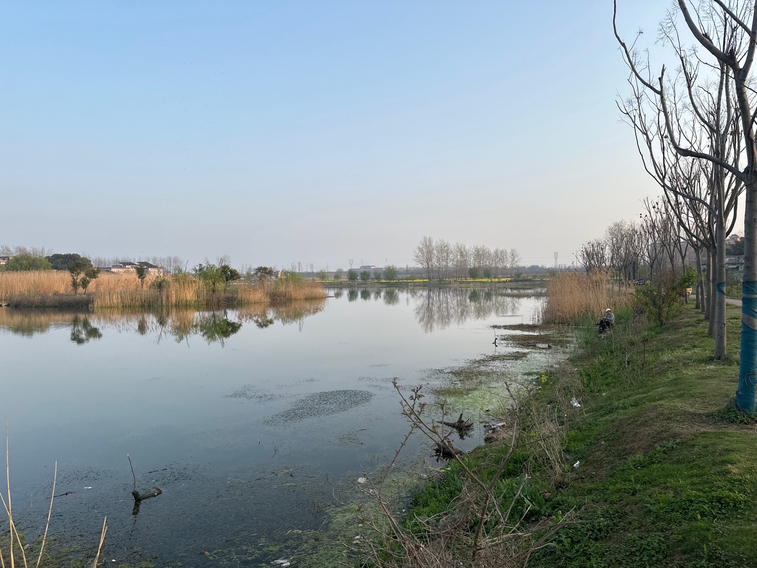 吴郢组大湿地公园旅行图片 1