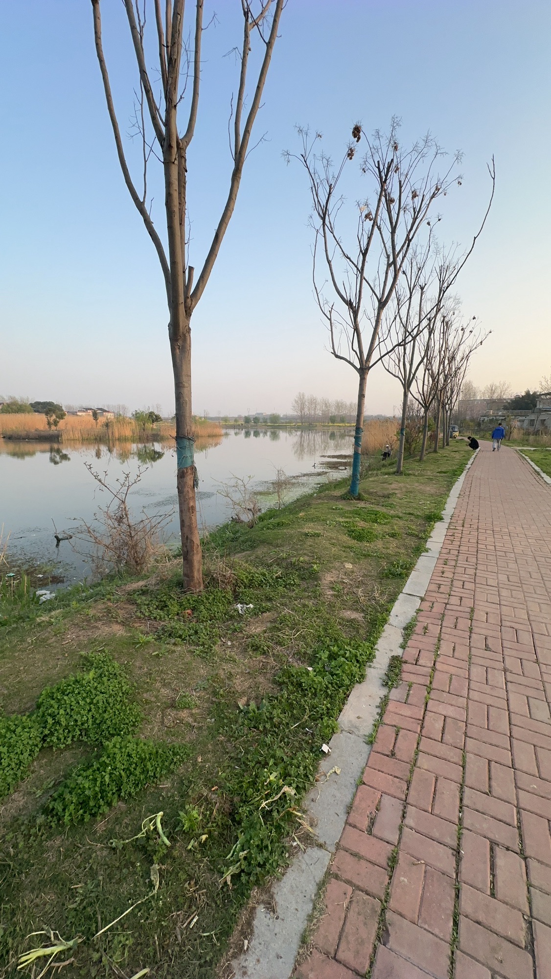 吴郢组大湿地公园旅行图片 3