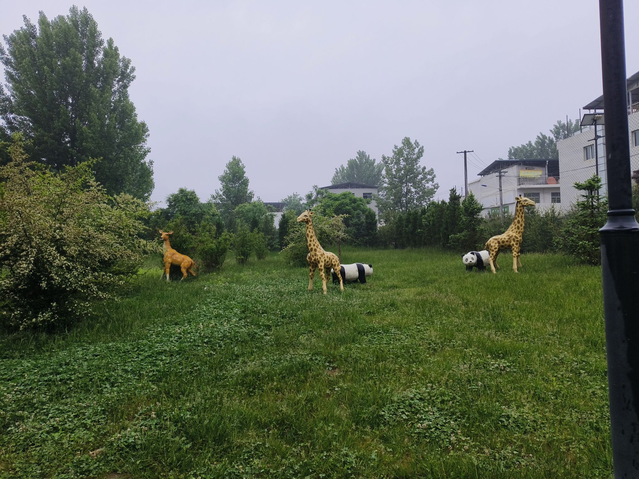 场地封面-趣汇友自驾露营地