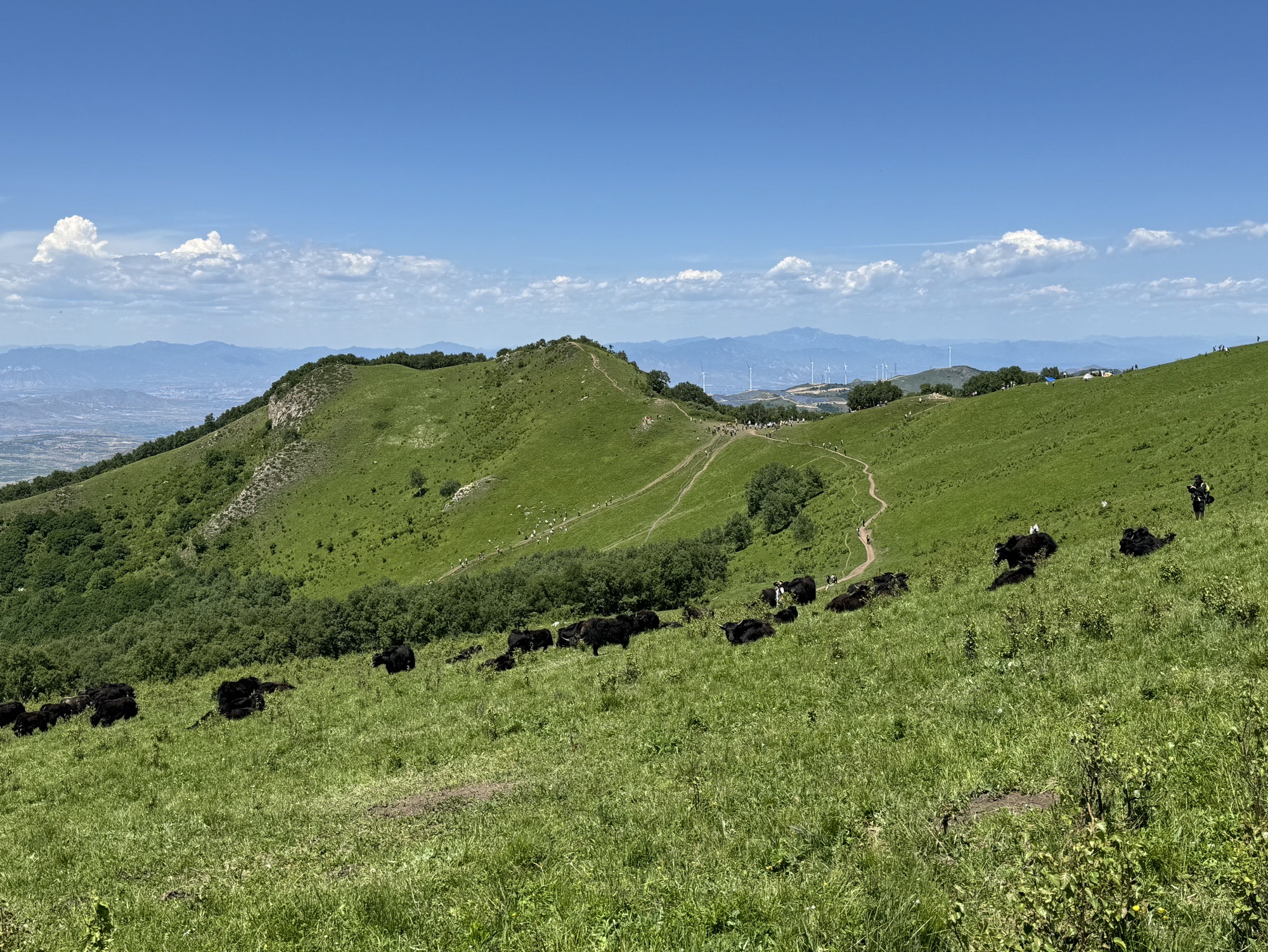 北灵山旅行图片 1