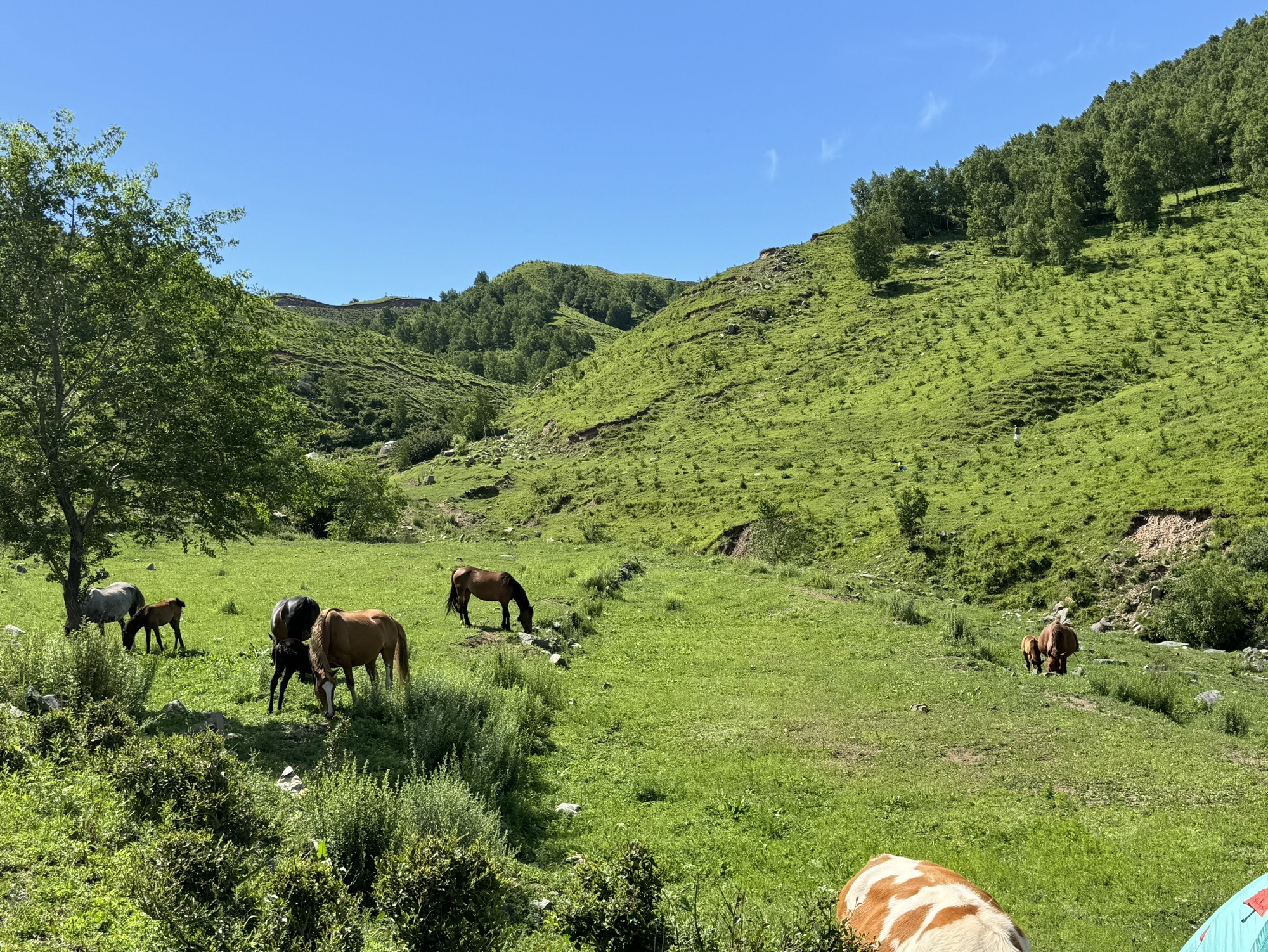 北灵山旅行图片 3