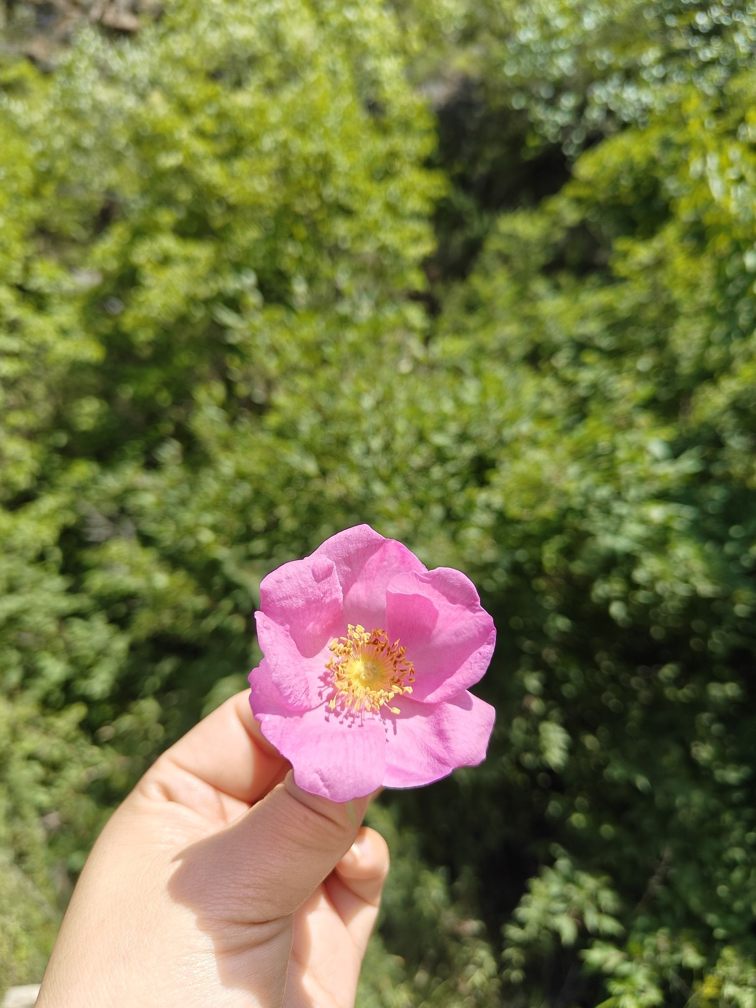 北灵山旅行图片 1
