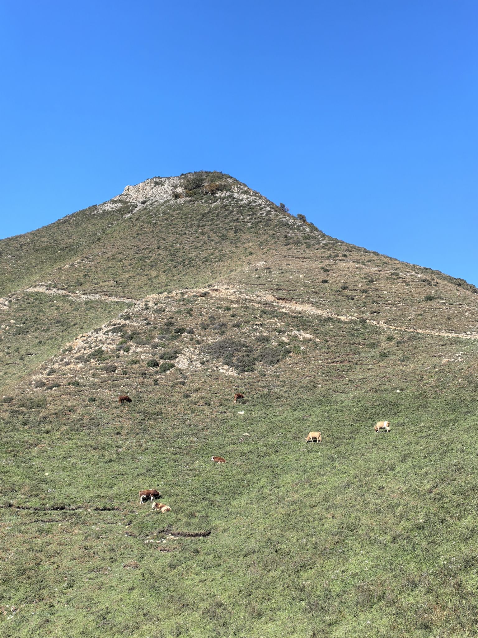 北灵山旅行图片 2
