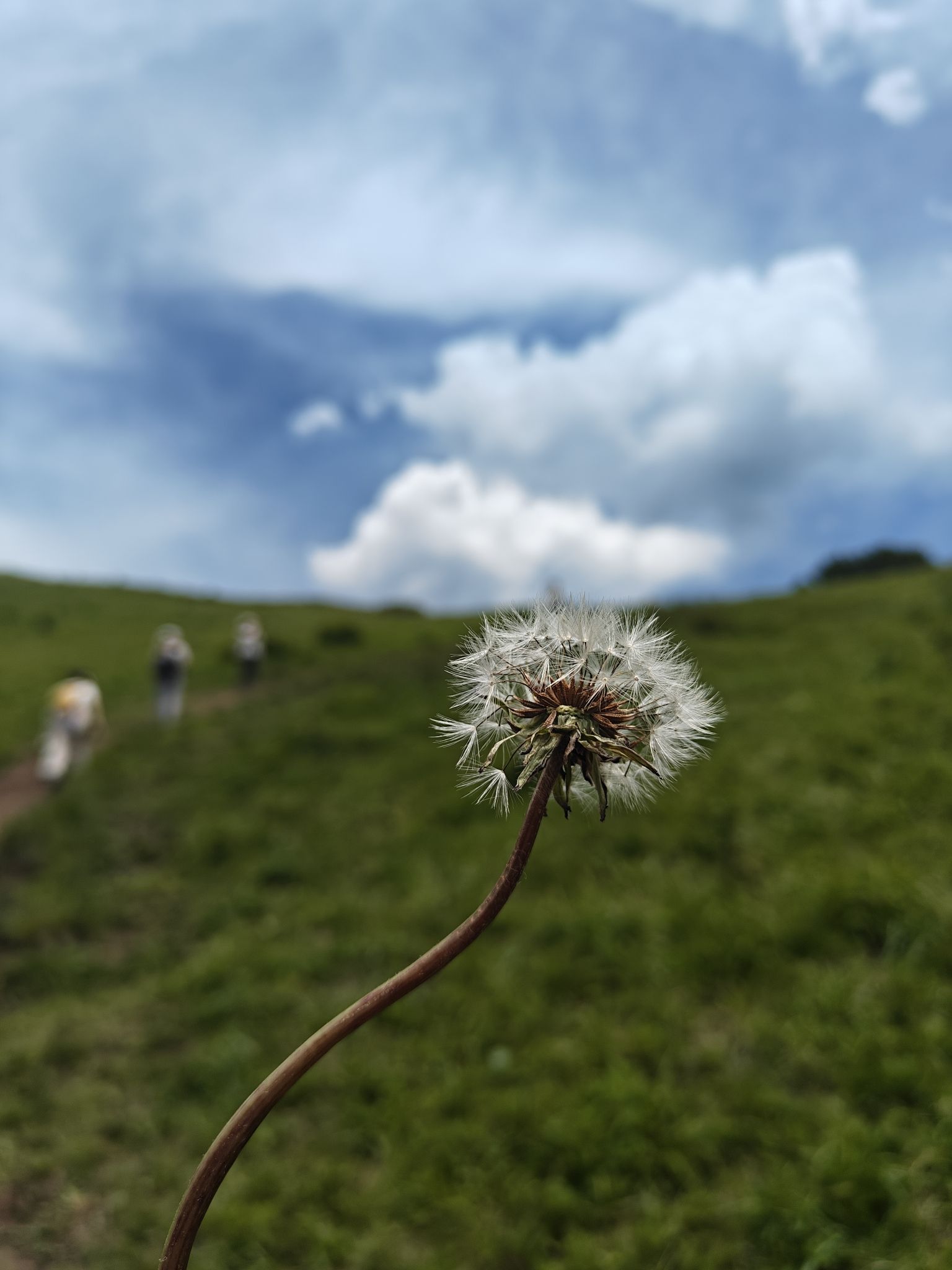 北灵山旅行图片 3