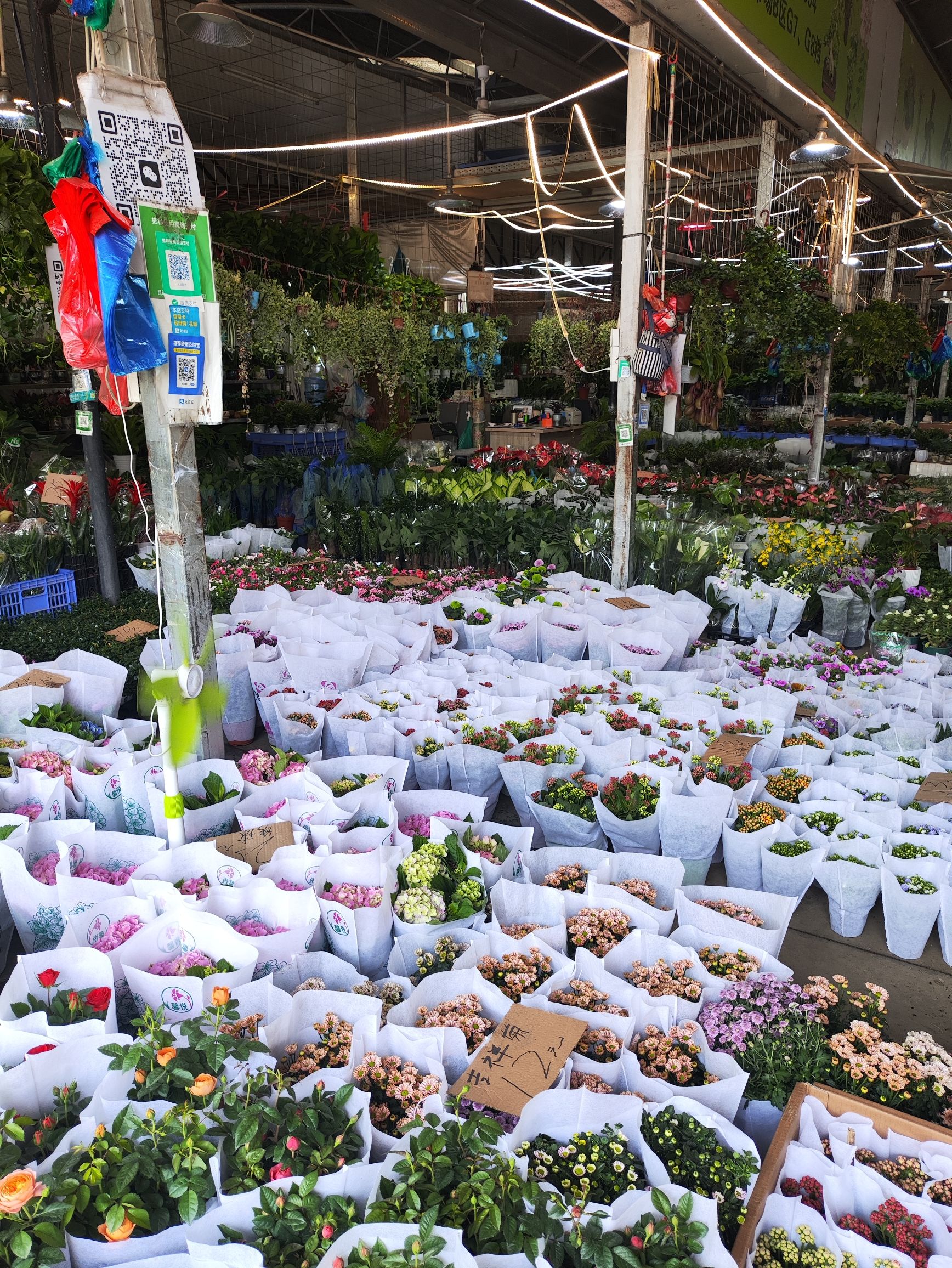 芳村花卉市场
