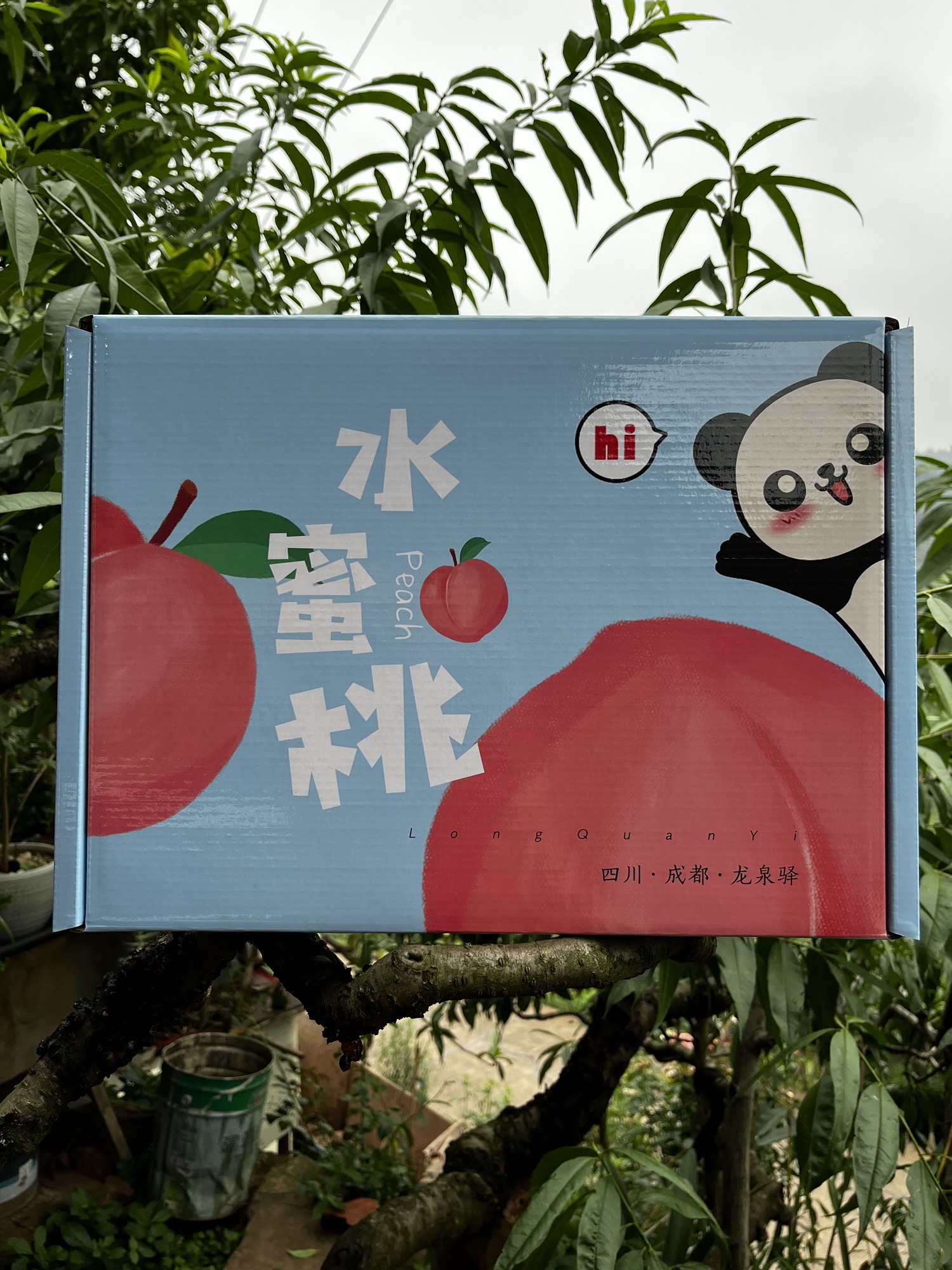 场地封面-盼桃源水蜜桃采摘园