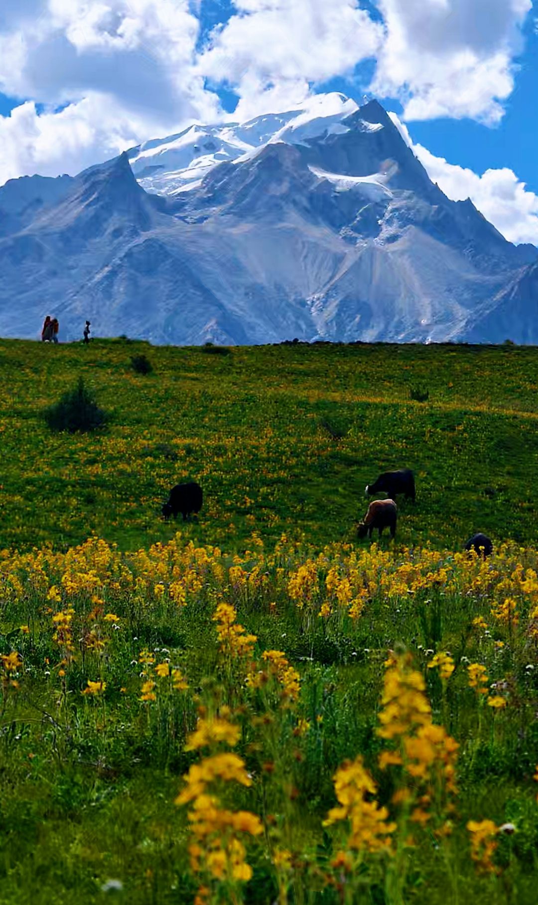格聂神山旅行图片 3