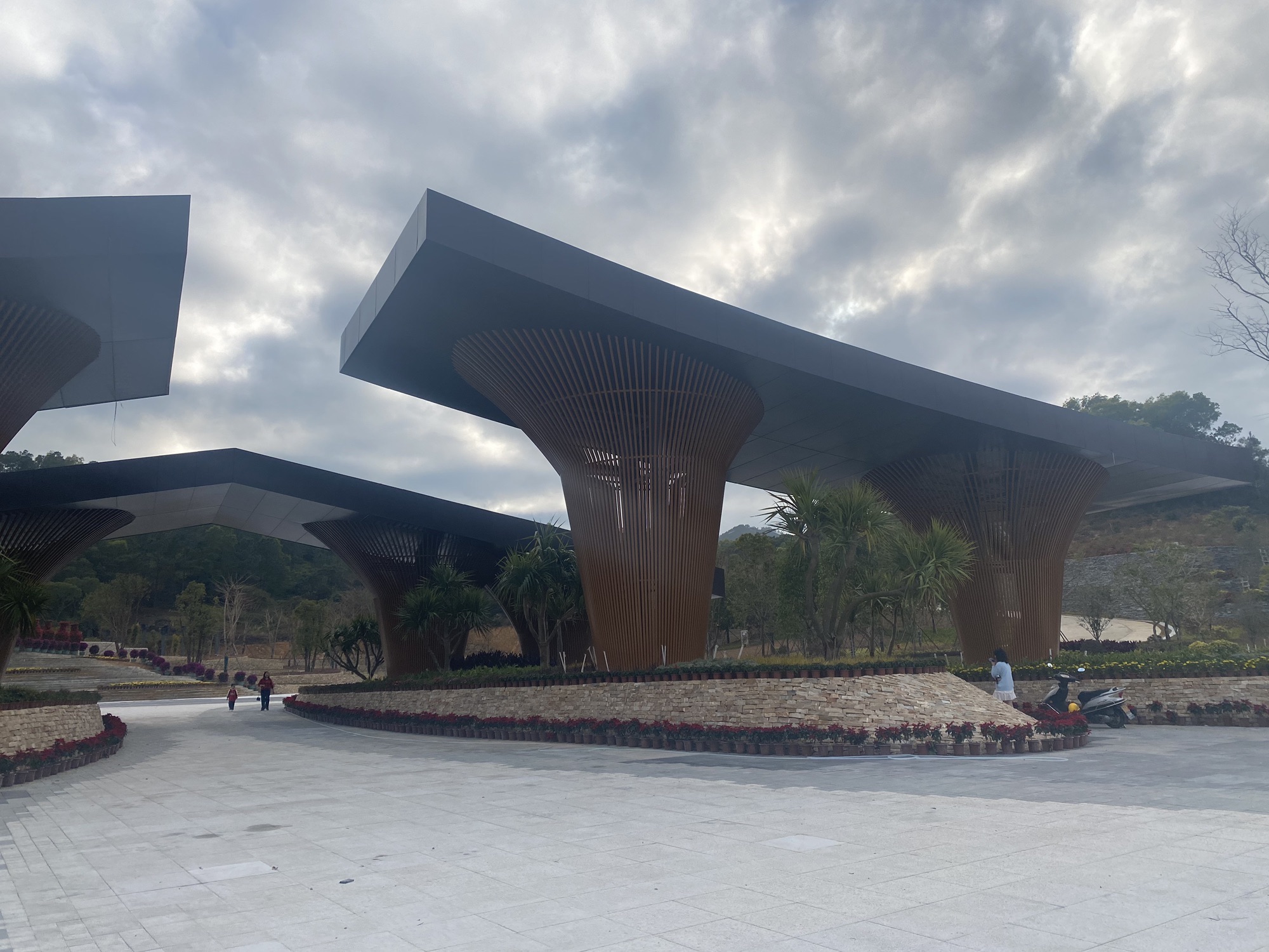 金霞光森林公园旅行图片 3