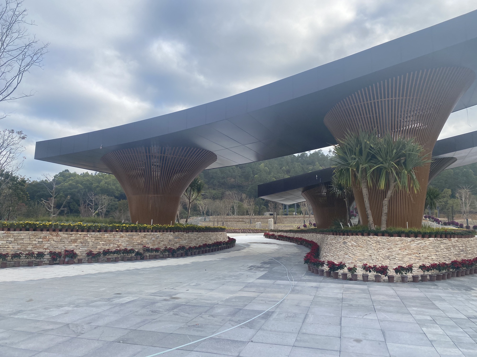 金霞光森林公园旅行图片 2