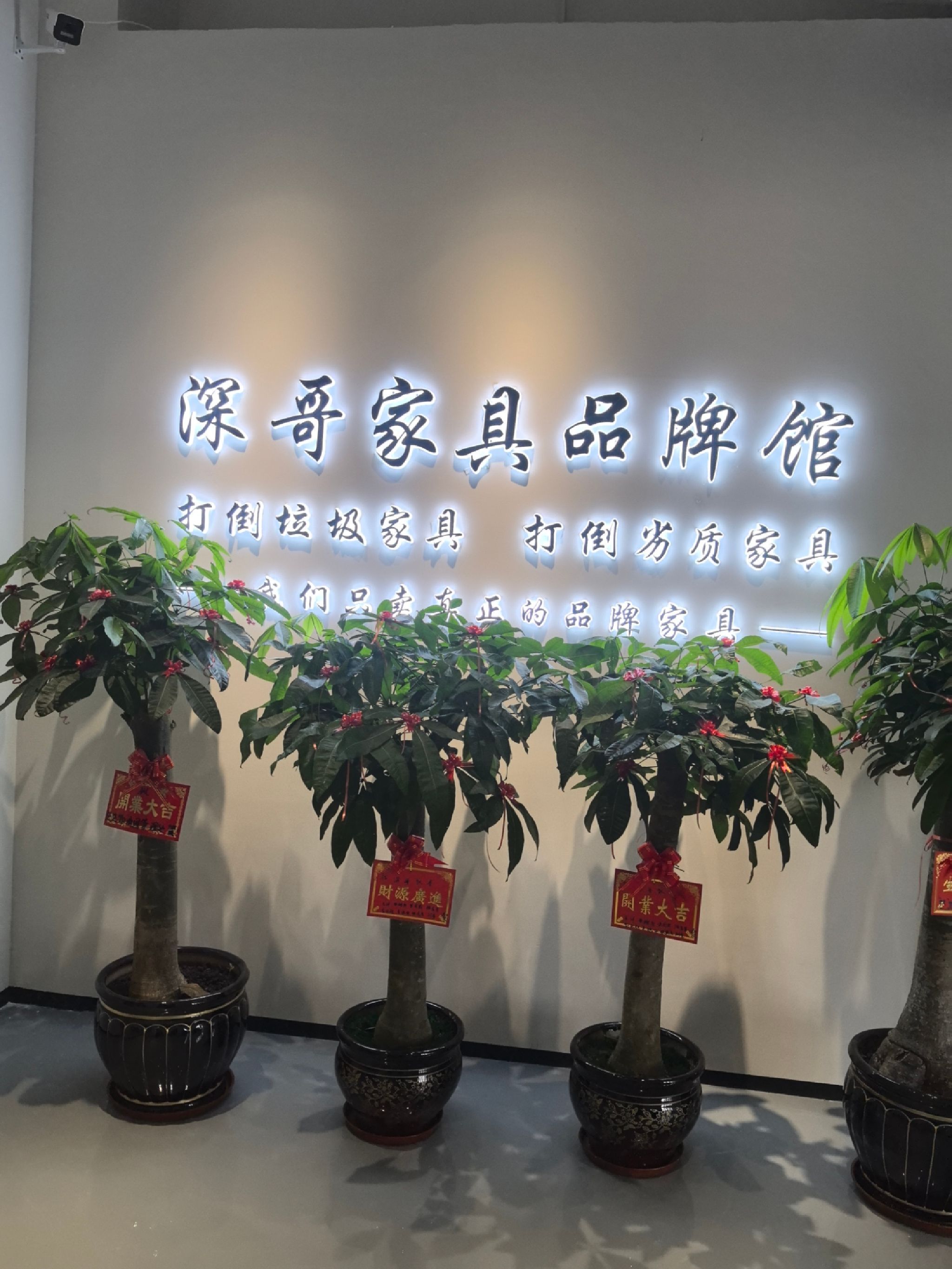 深哥家具品牌馆(厦门店)