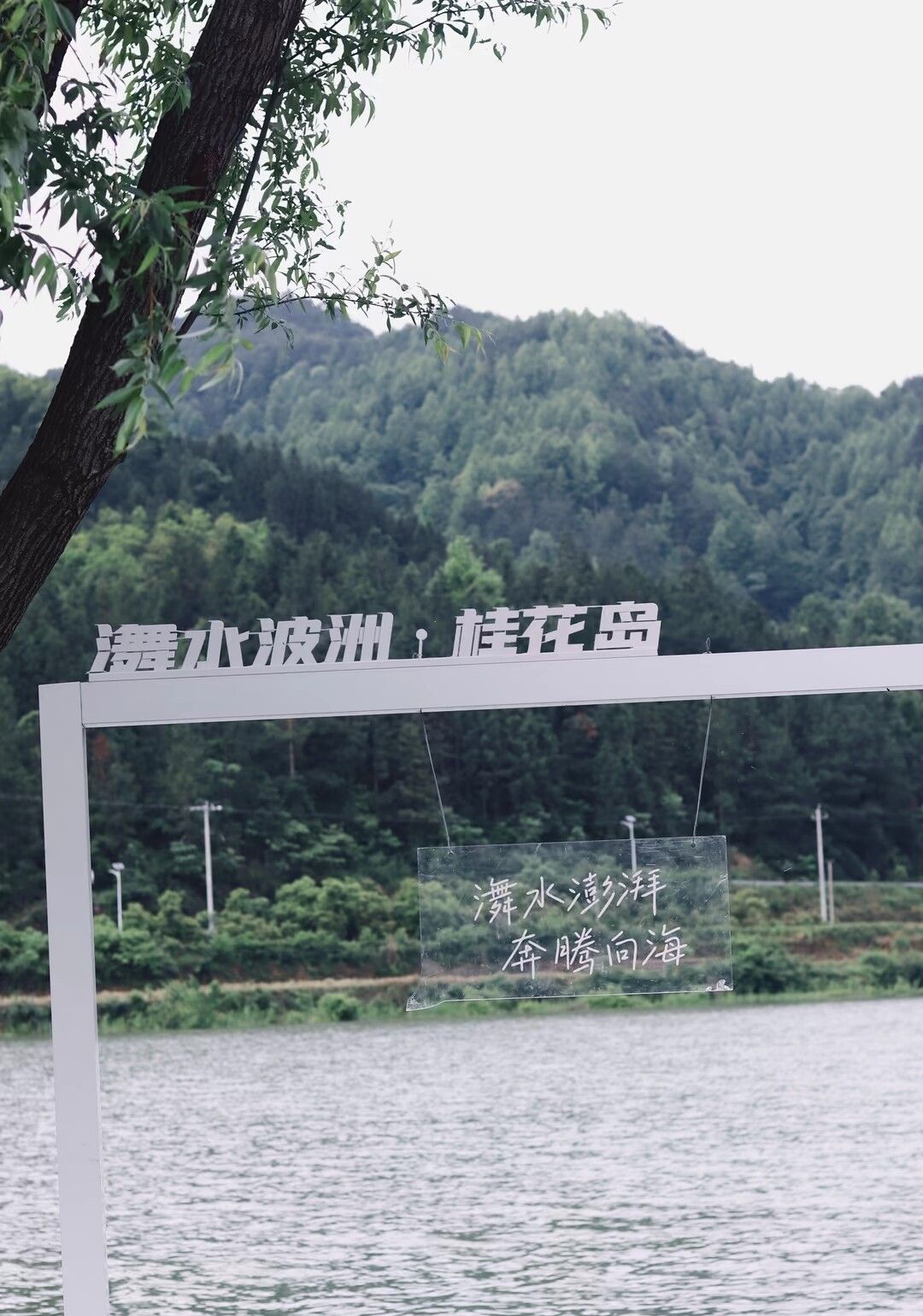 江口村桂花岛旅行图片 2