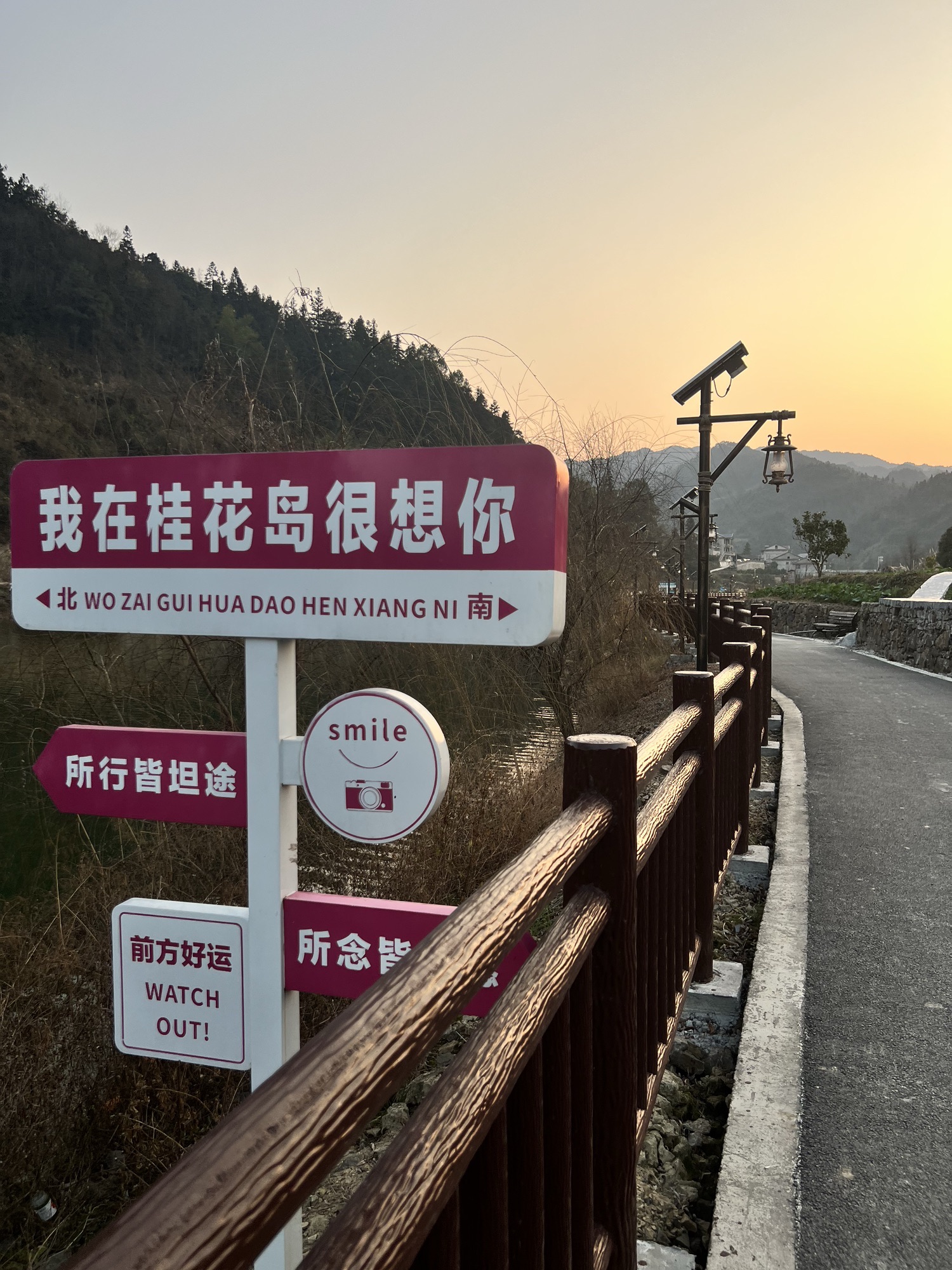 江口村桂花岛旅行图片 1