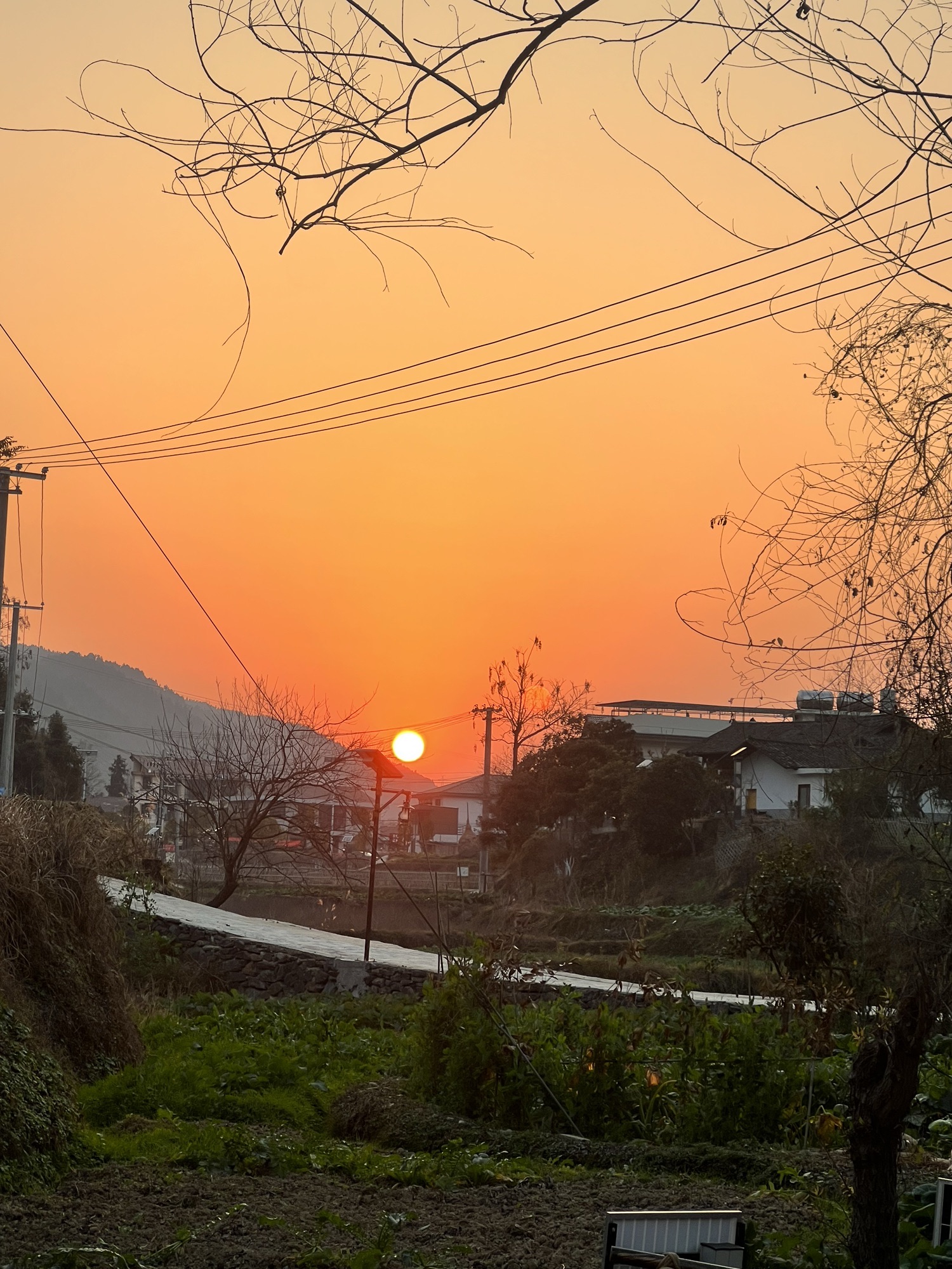 江口村桂花岛旅行图片 3