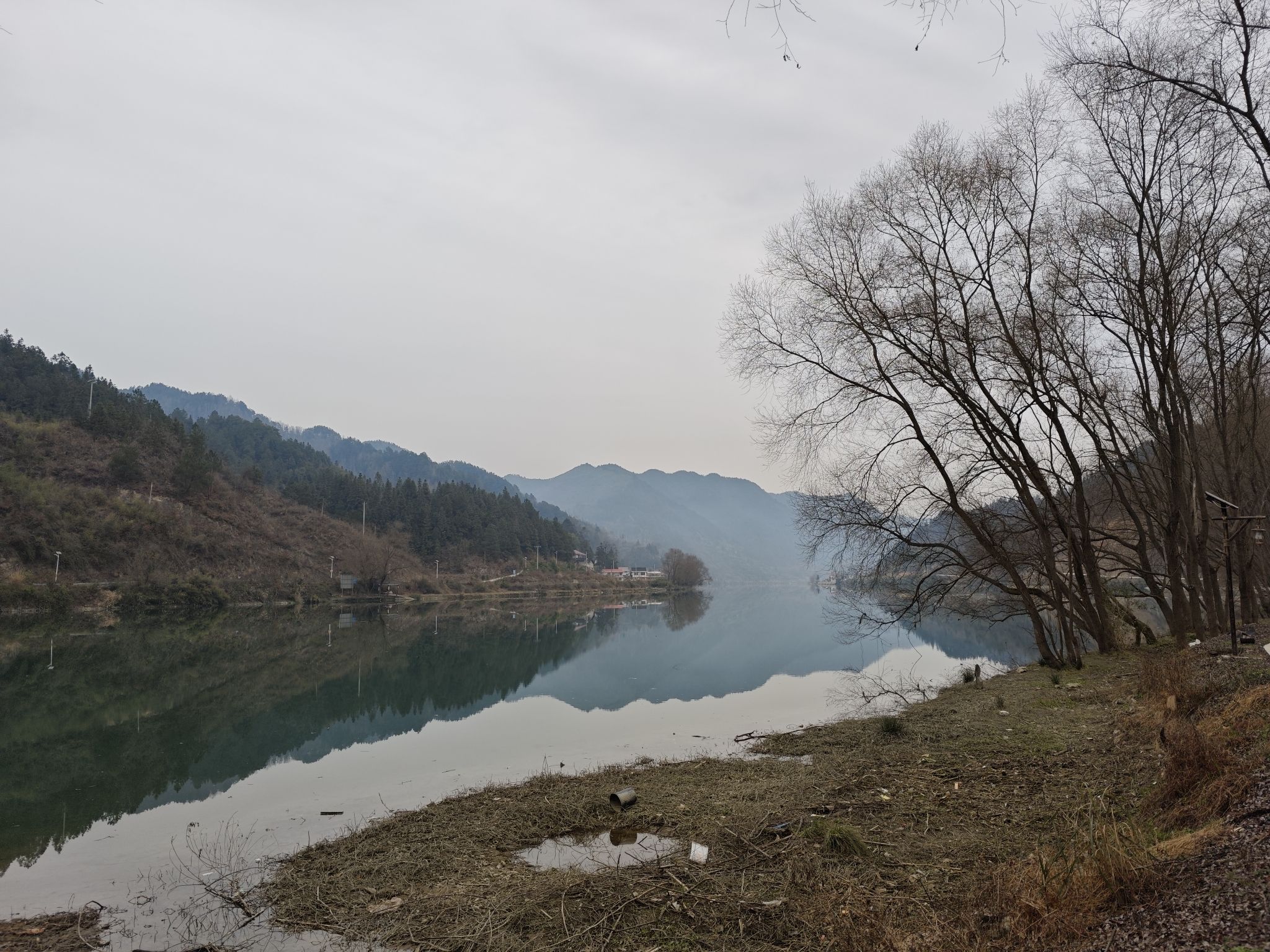 江口村桂花岛旅行图片 2