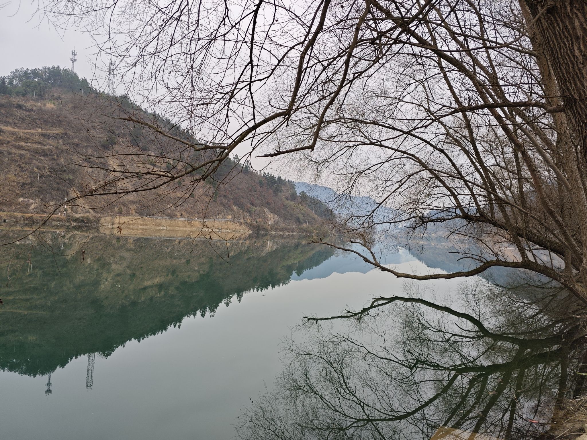 江口村桂花岛旅行图片 1