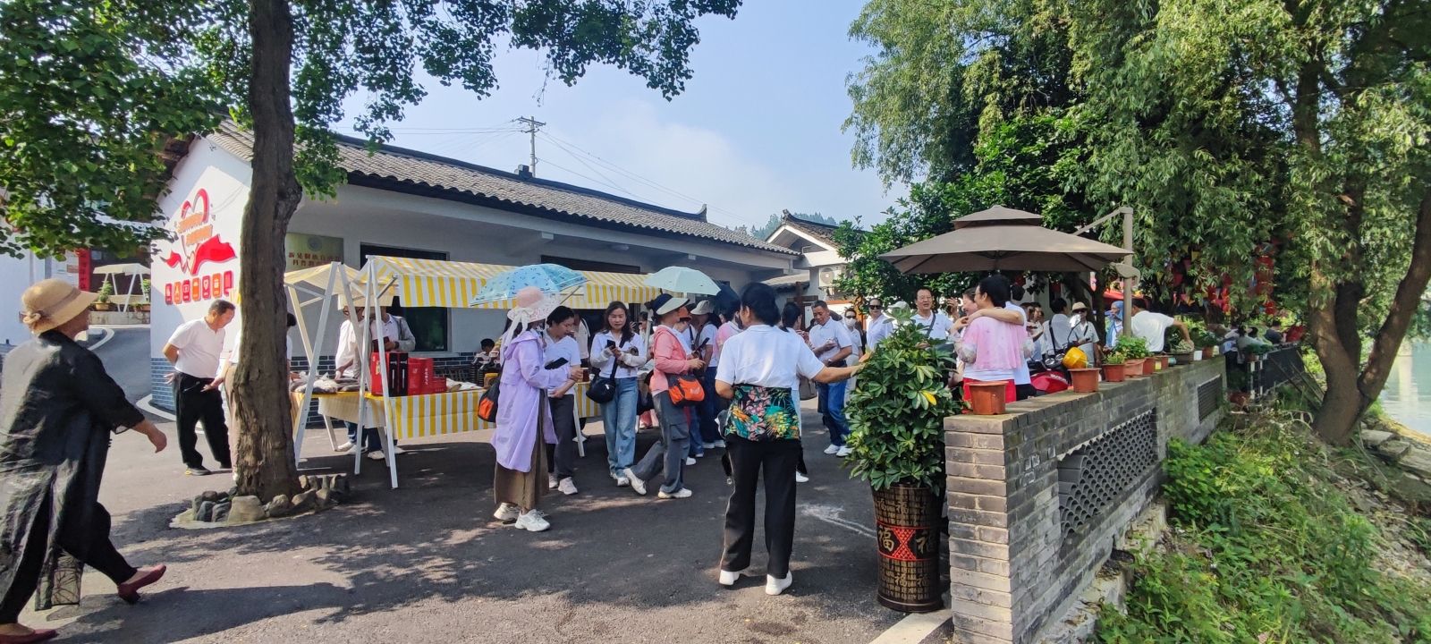 江口村桂花岛旅行图片 2