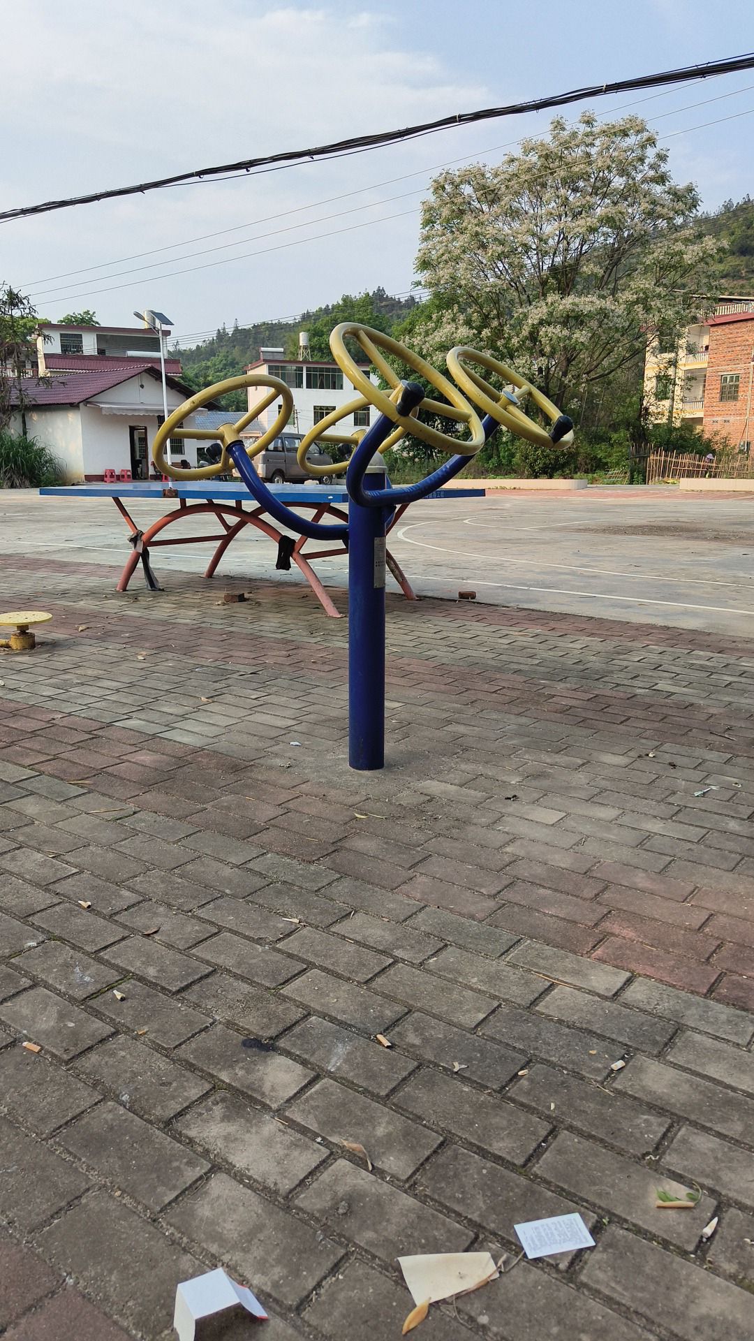 阳星村乡村振兴广场旅行图片 1