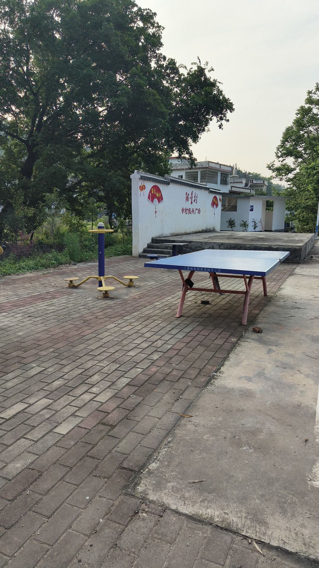 阳星村乡村振兴广场旅行图片 2