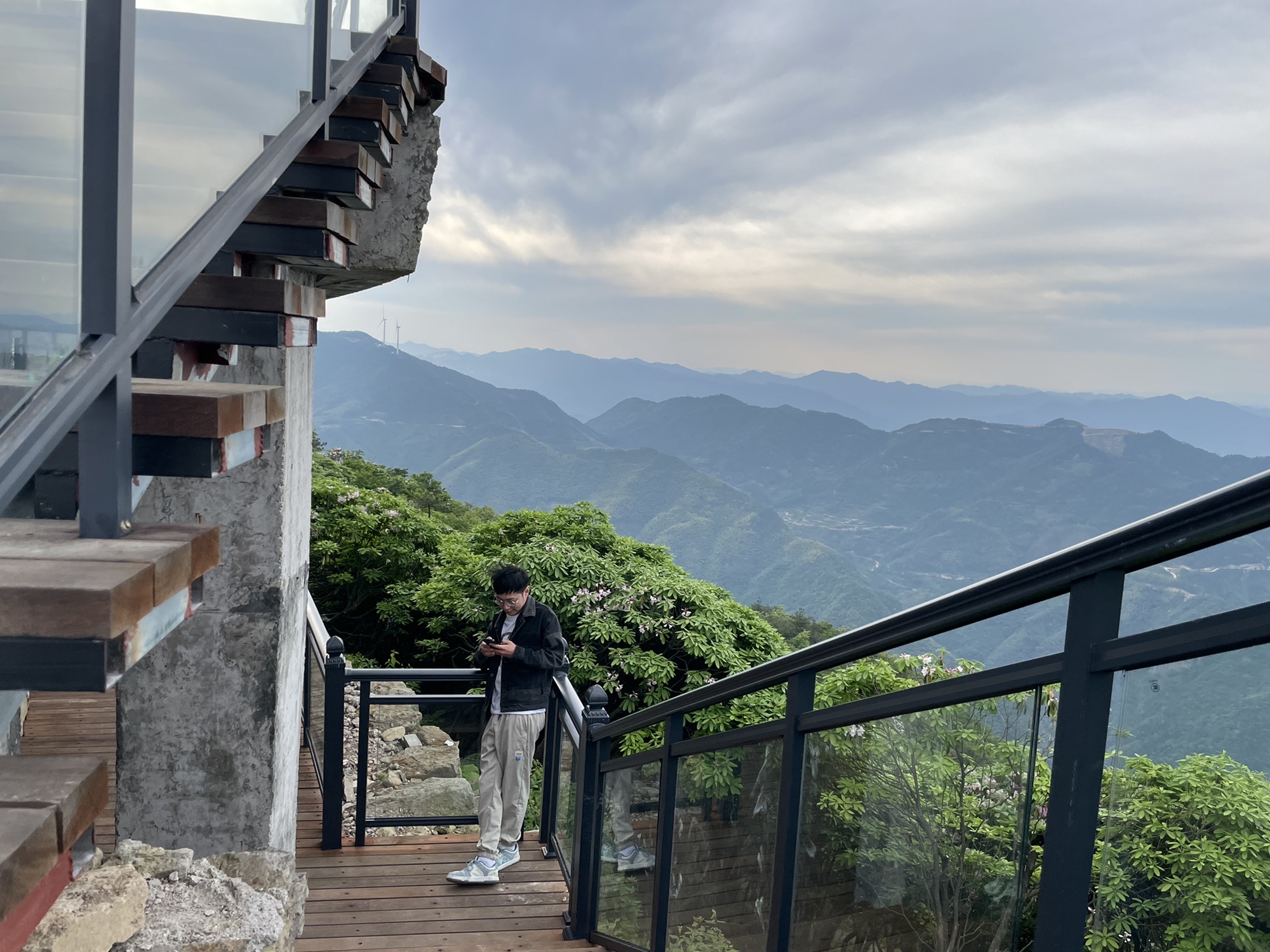 仙居县高山云锦杜鹃观赏区旅行图片 3