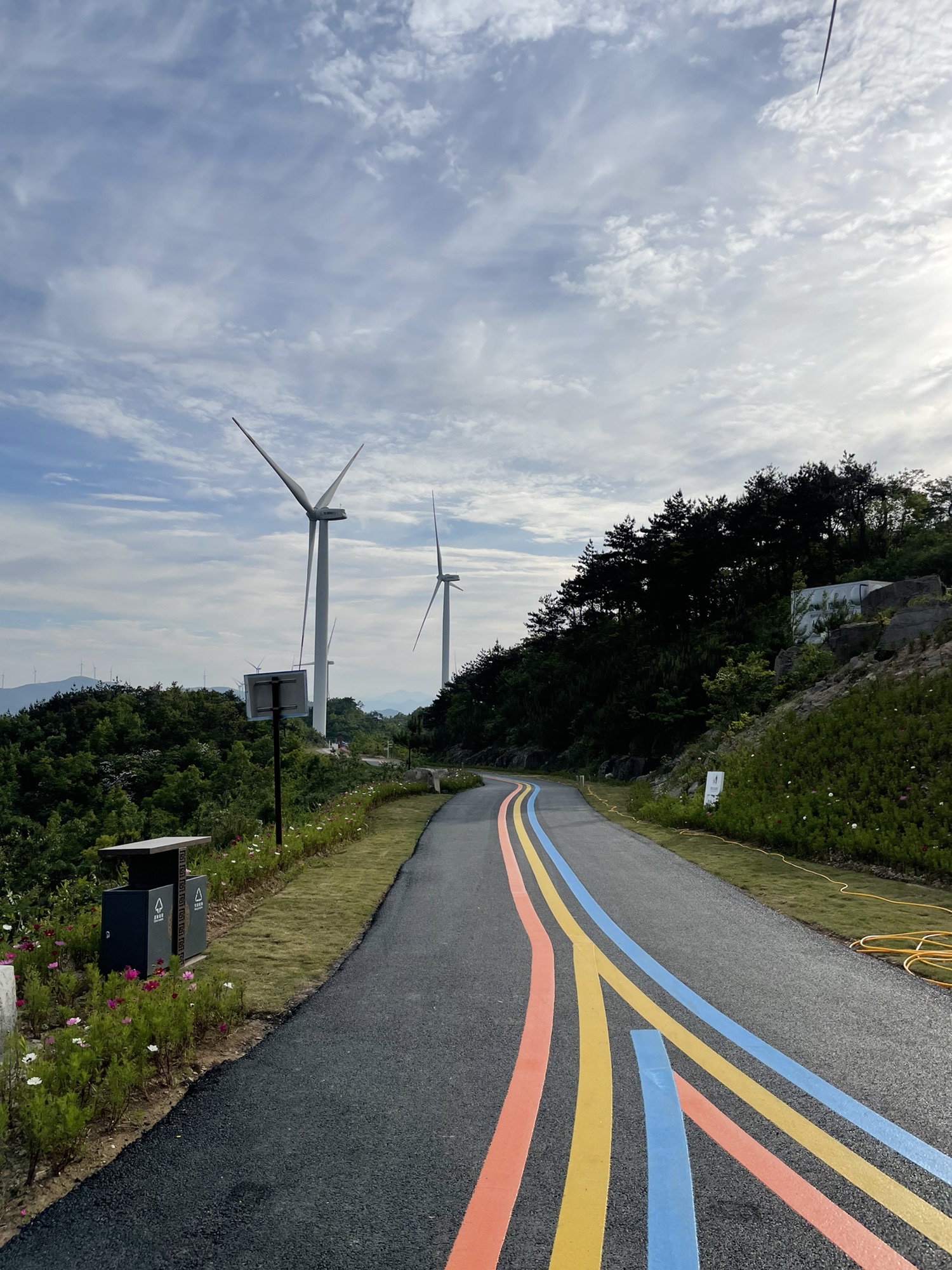 仙居县高山云锦杜鹃观赏区旅行图片 1