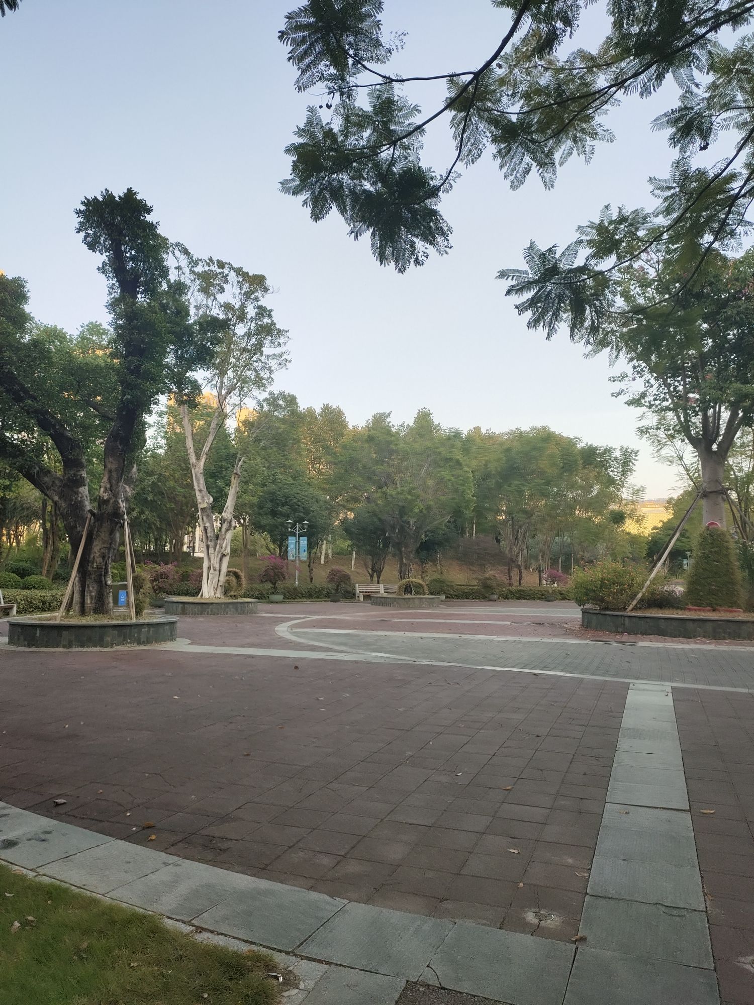 前茅公园旅行图片 2