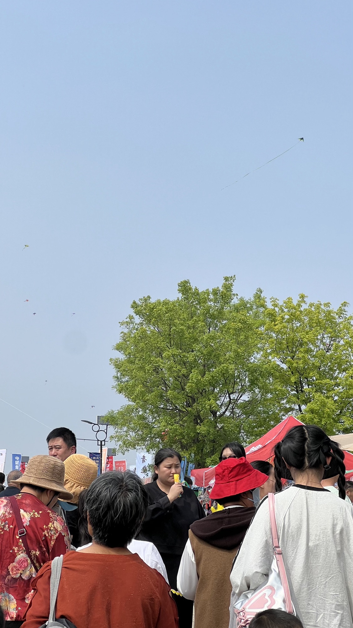 世界风筝公园旅行图片 3