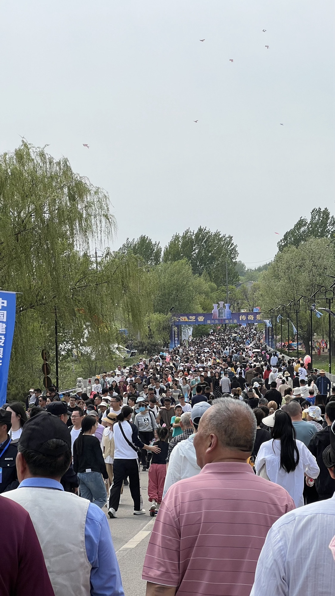 世界风筝公园旅行图片 1