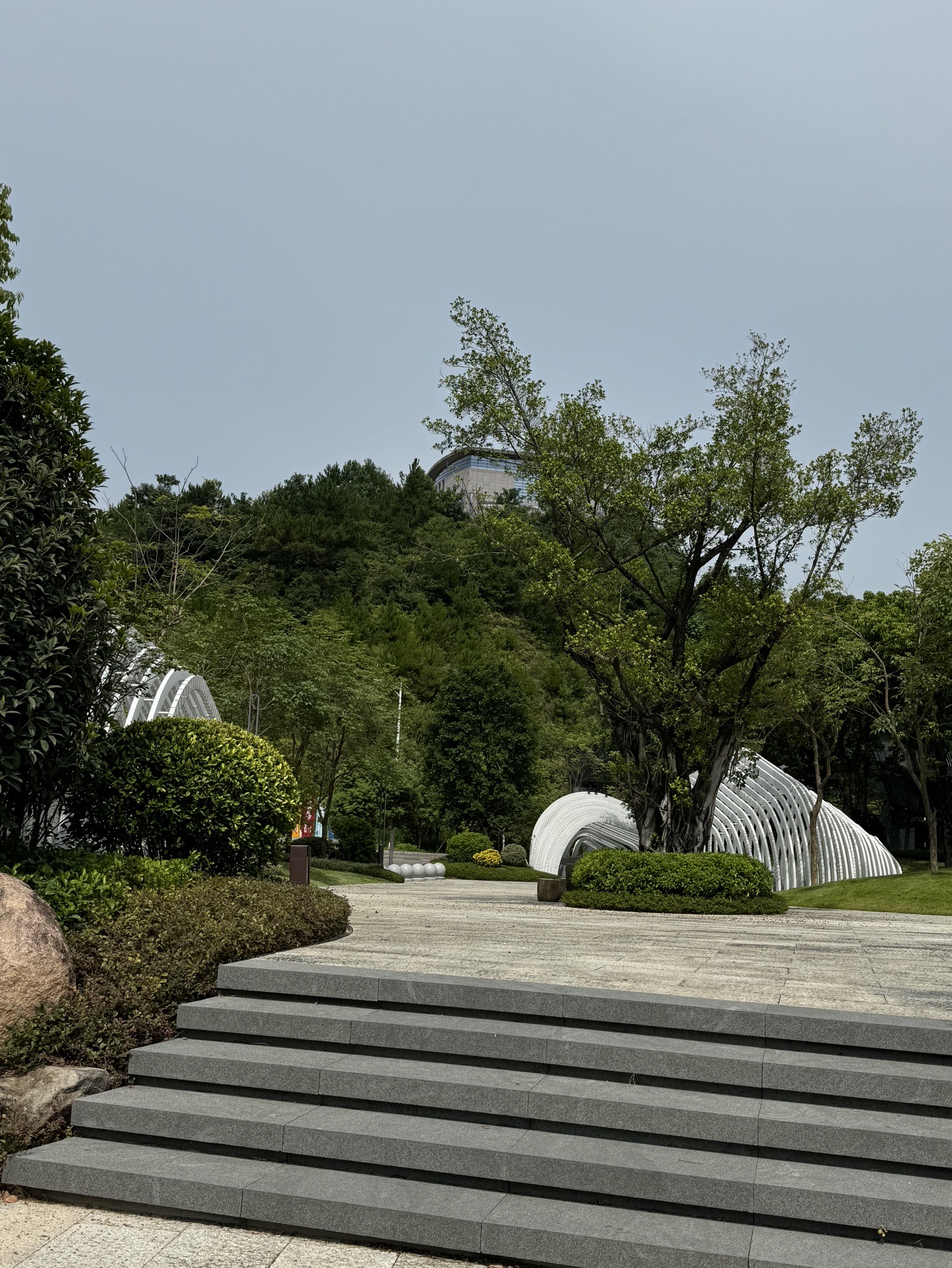 润诚·榕树公园旅行图片 3