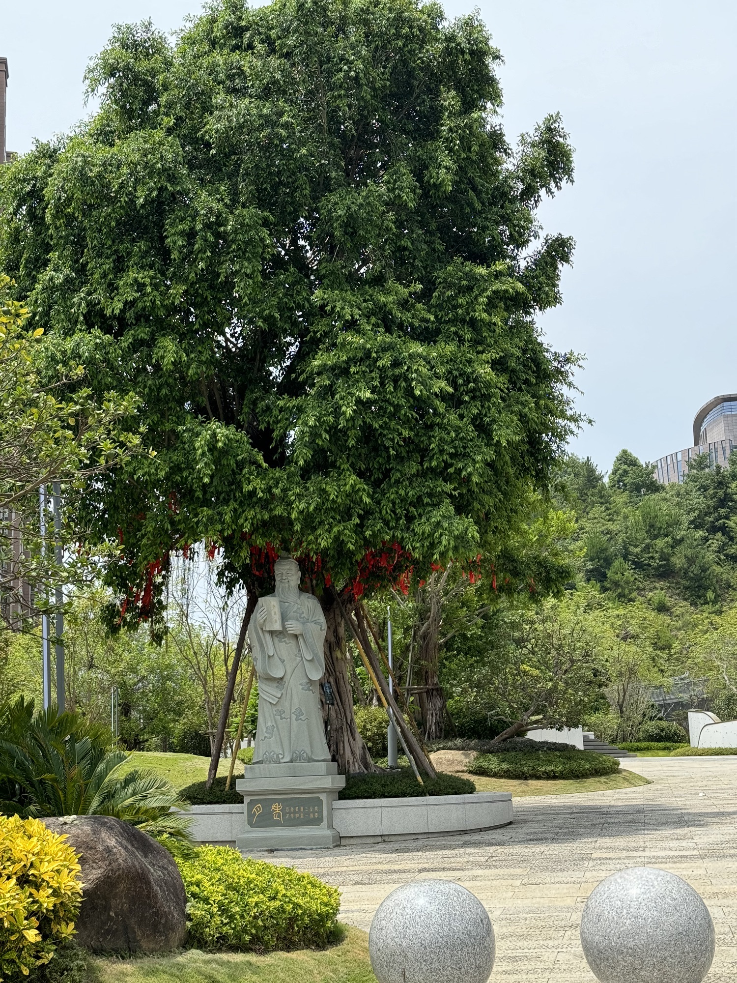 润诚·榕树公园旅行图片 1