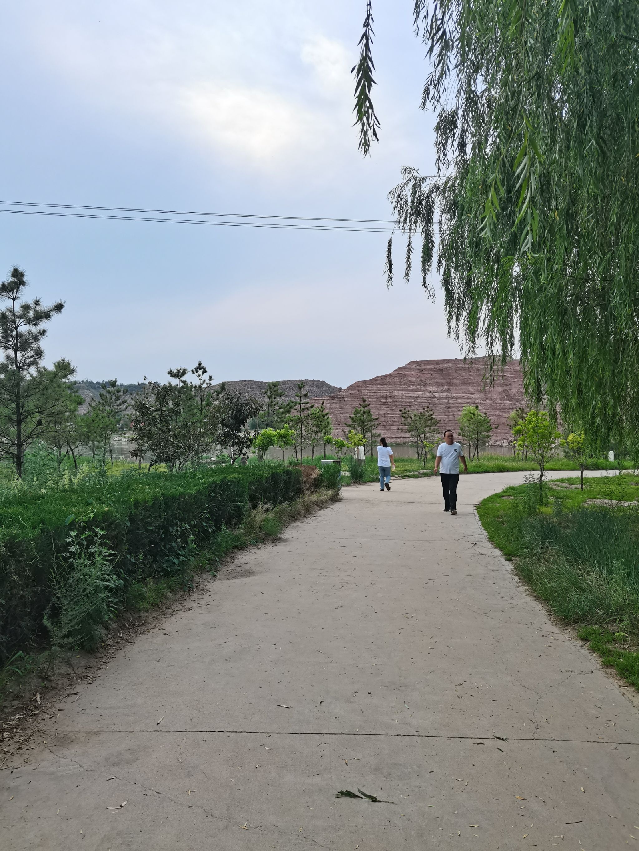 黄河湿地公园旅行图片 1