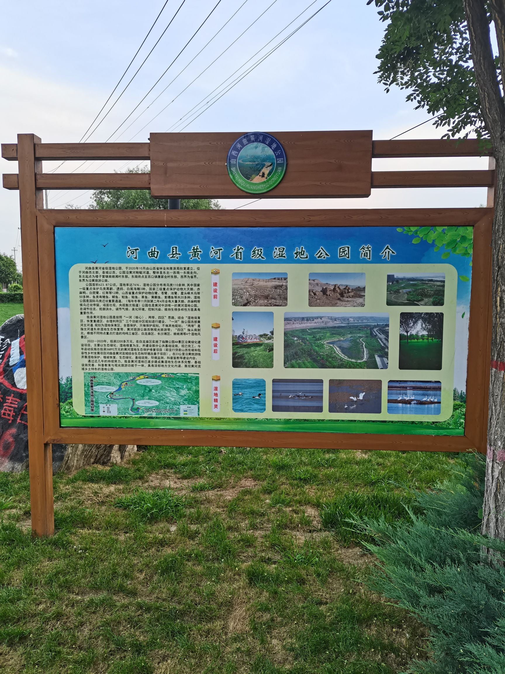 黄河湿地公园旅行图片 2