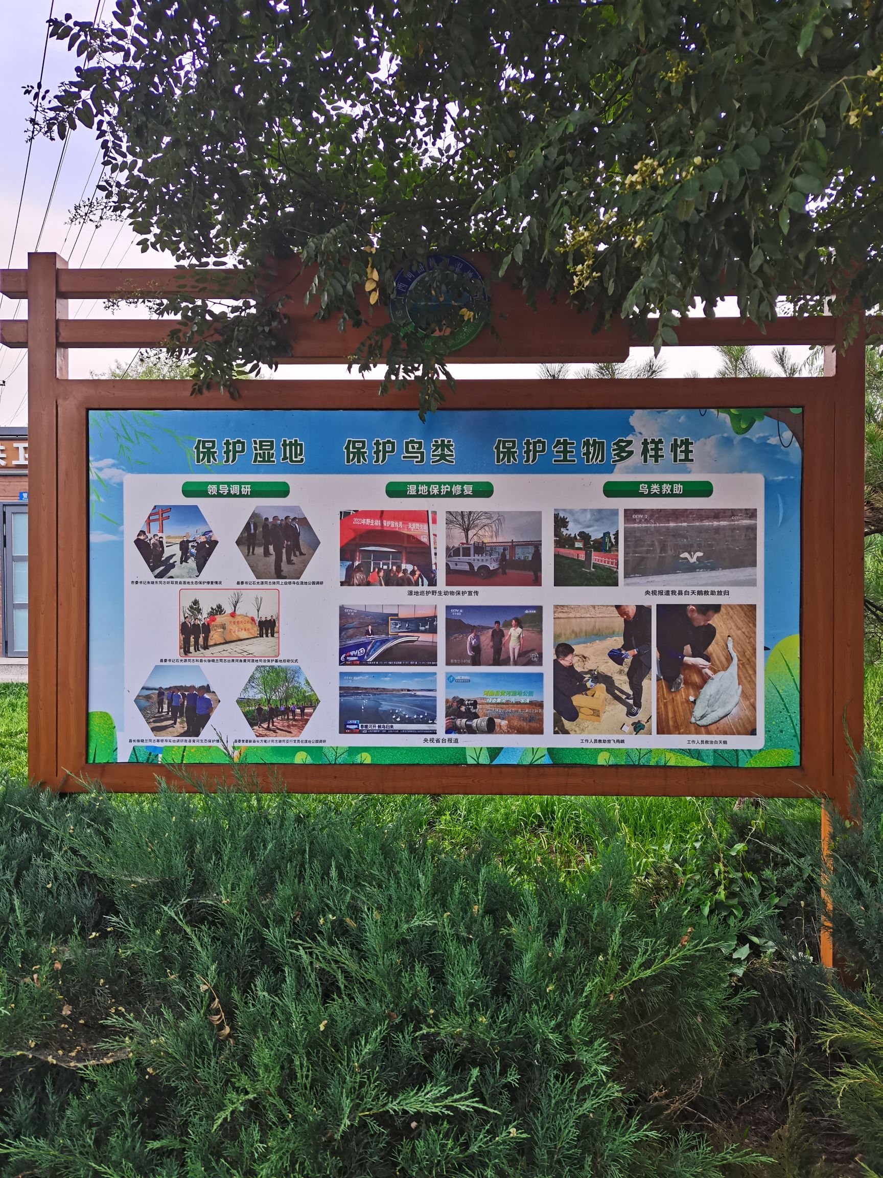 黄河湿地公园旅行图片 3