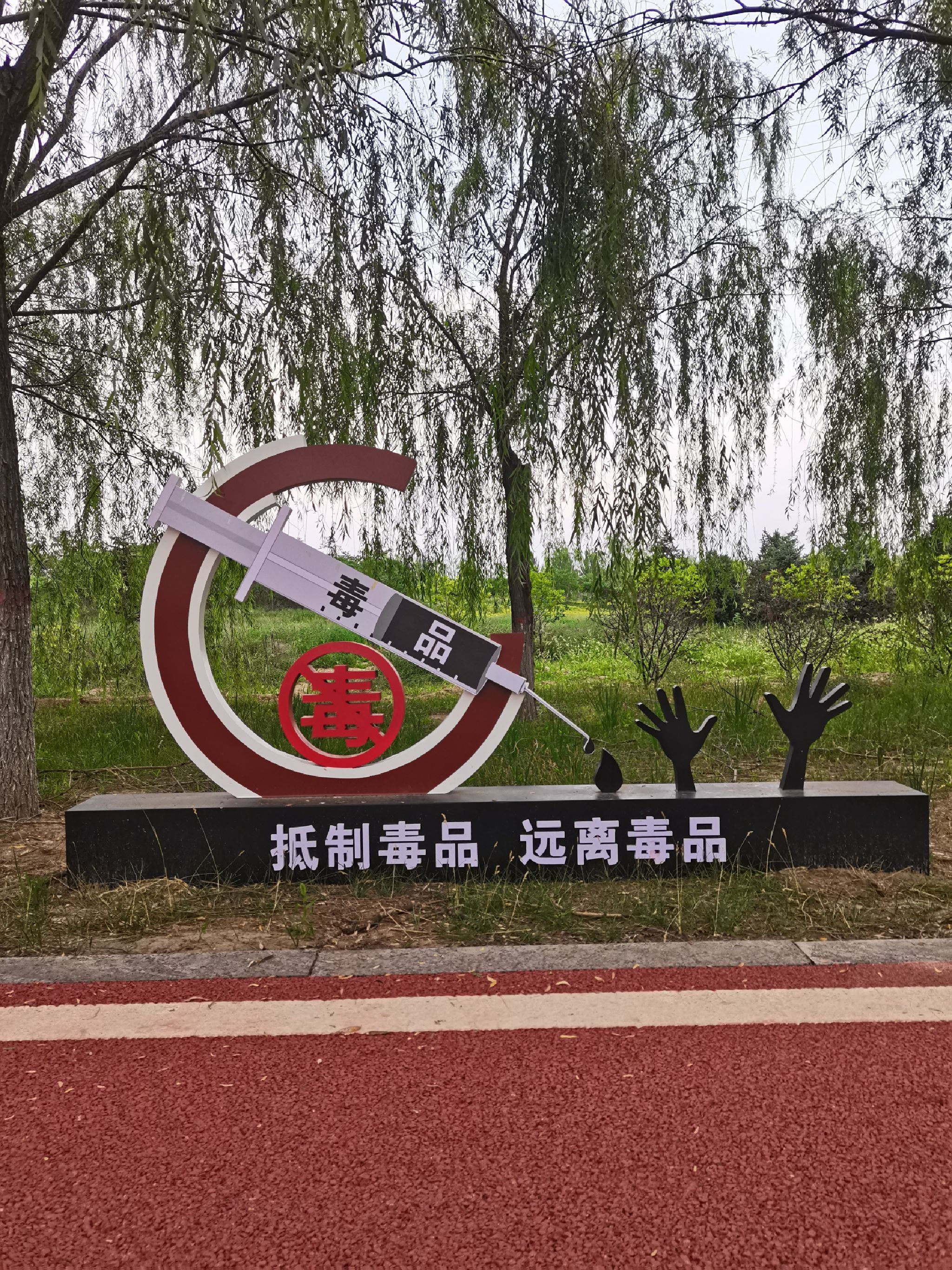 黄河湿地公园旅行图片 1