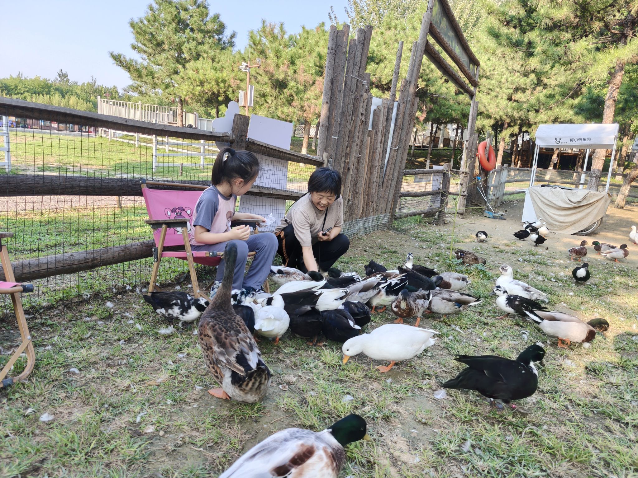 场地封面-南海子有个牧场·亲子露营乐园(暂停营业)