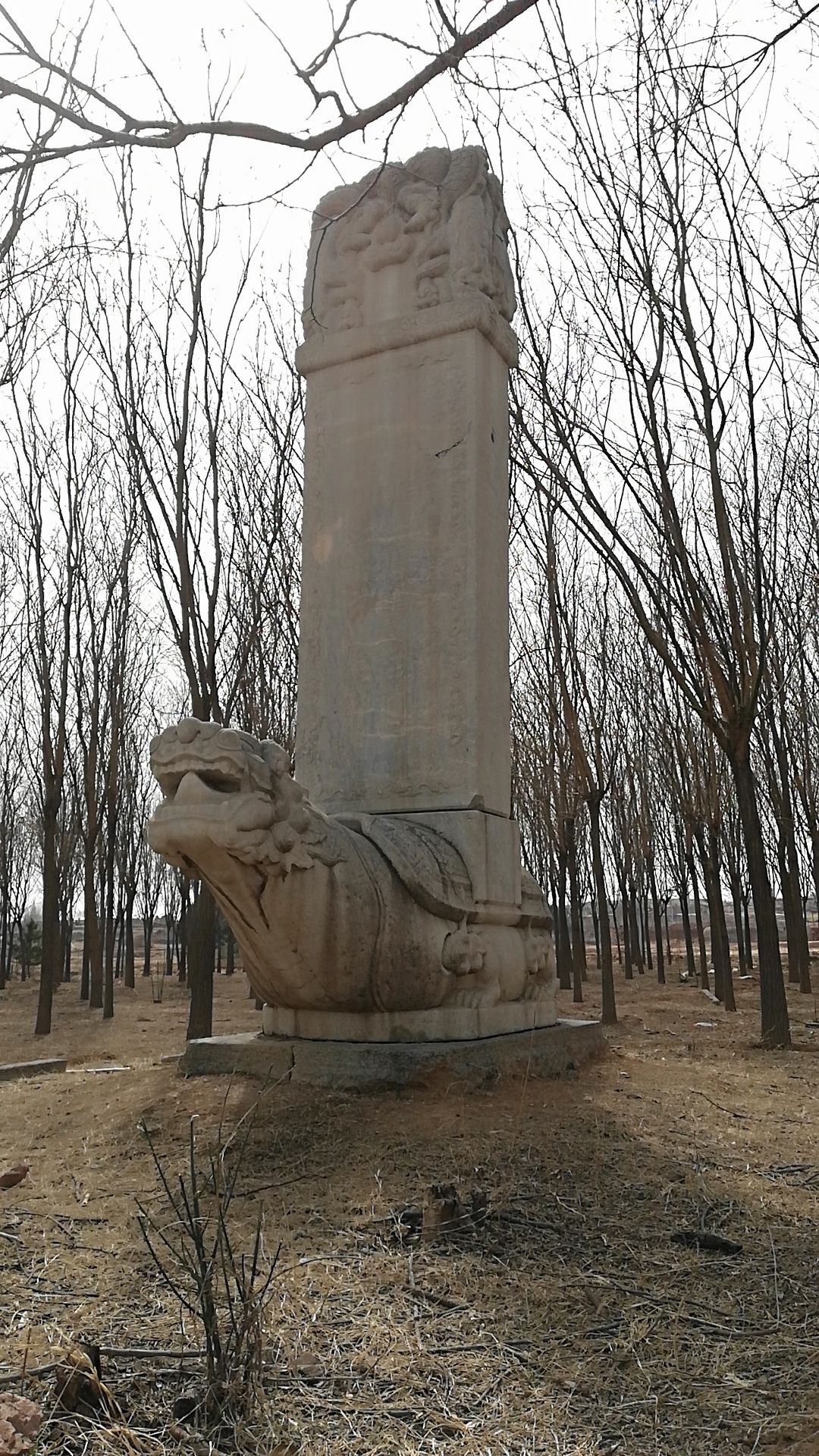 广禄亲王神道碑旅行图片 2