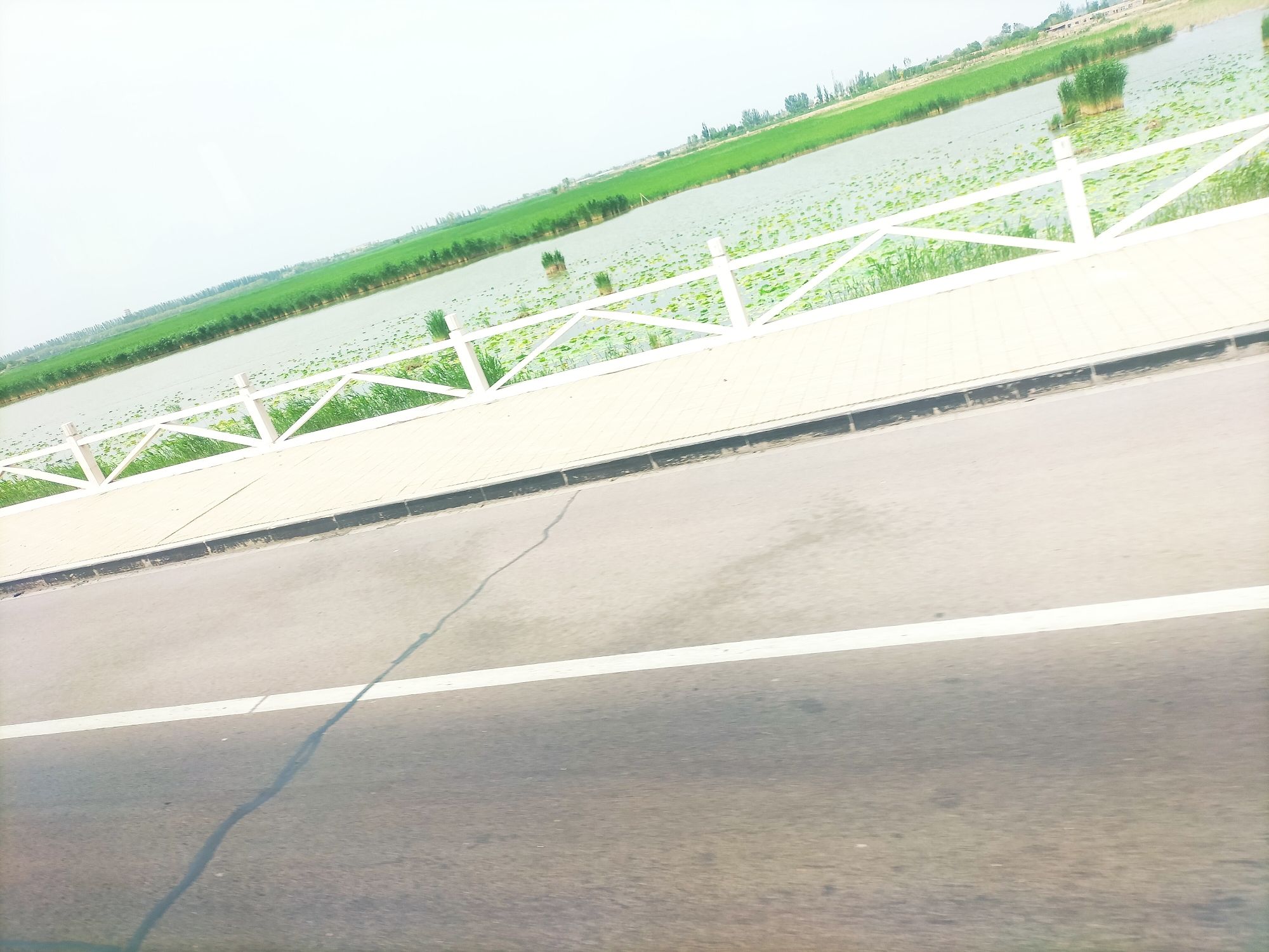 黄河风情观景台旅行图片 1