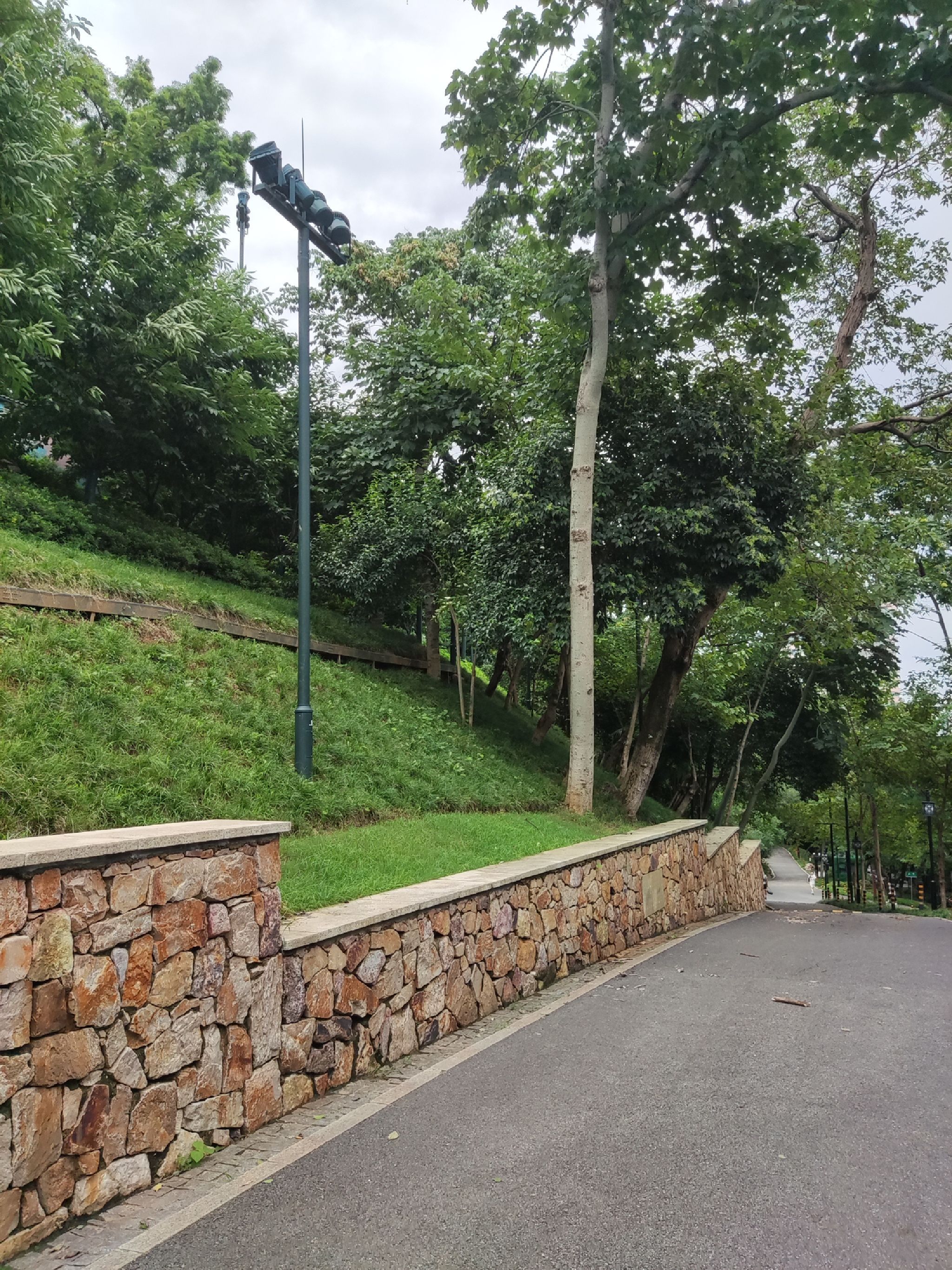 樱花栈道旅行图片 3