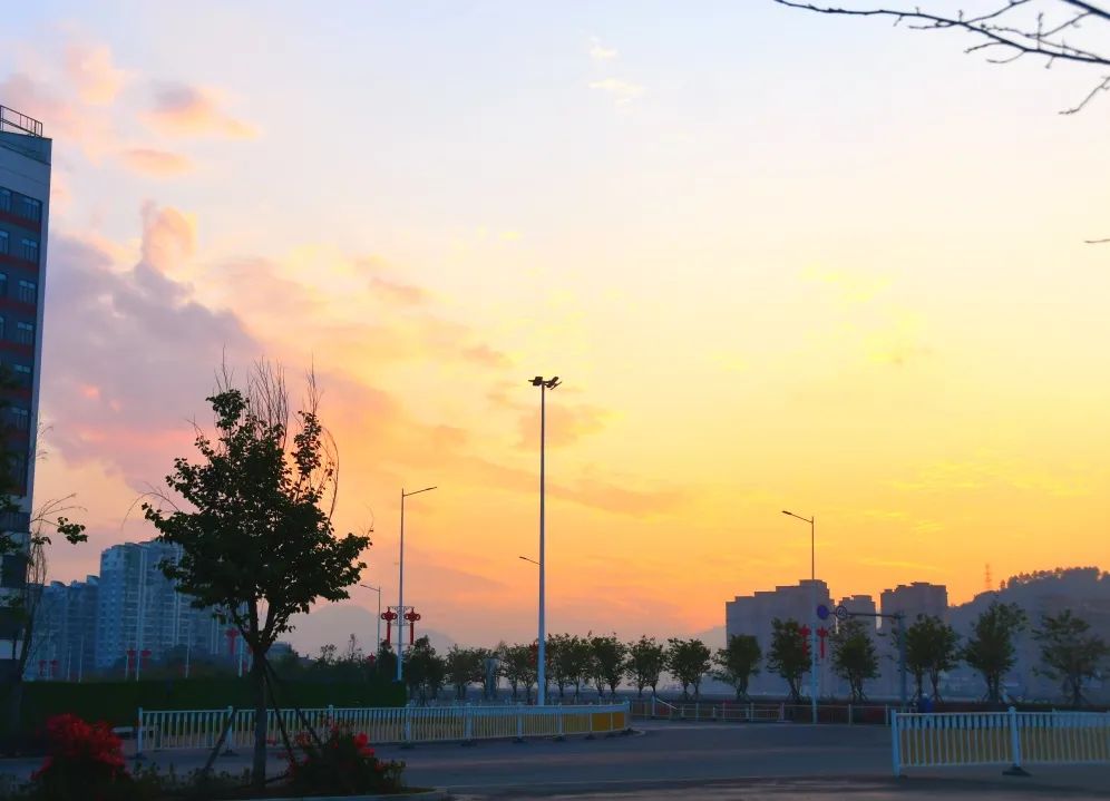 赛岐湿地公园旅行图片 1