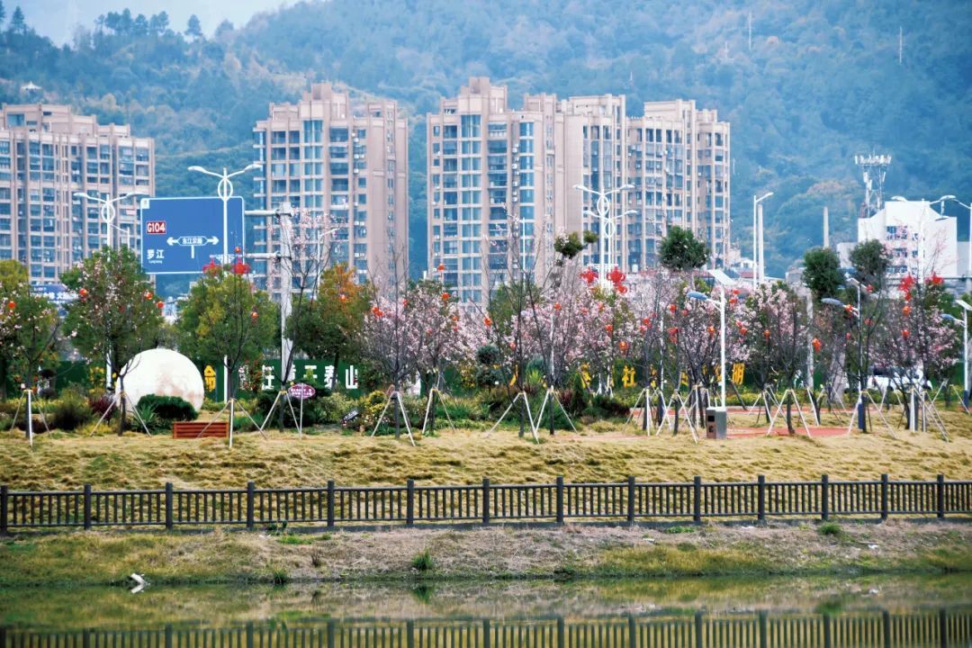 赛岐湿地公园旅行图片 3