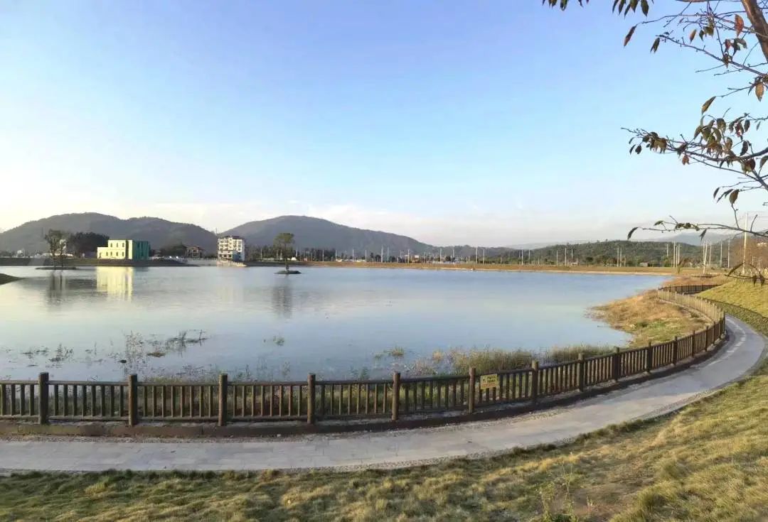 赛岐湿地公园旅行图片 2