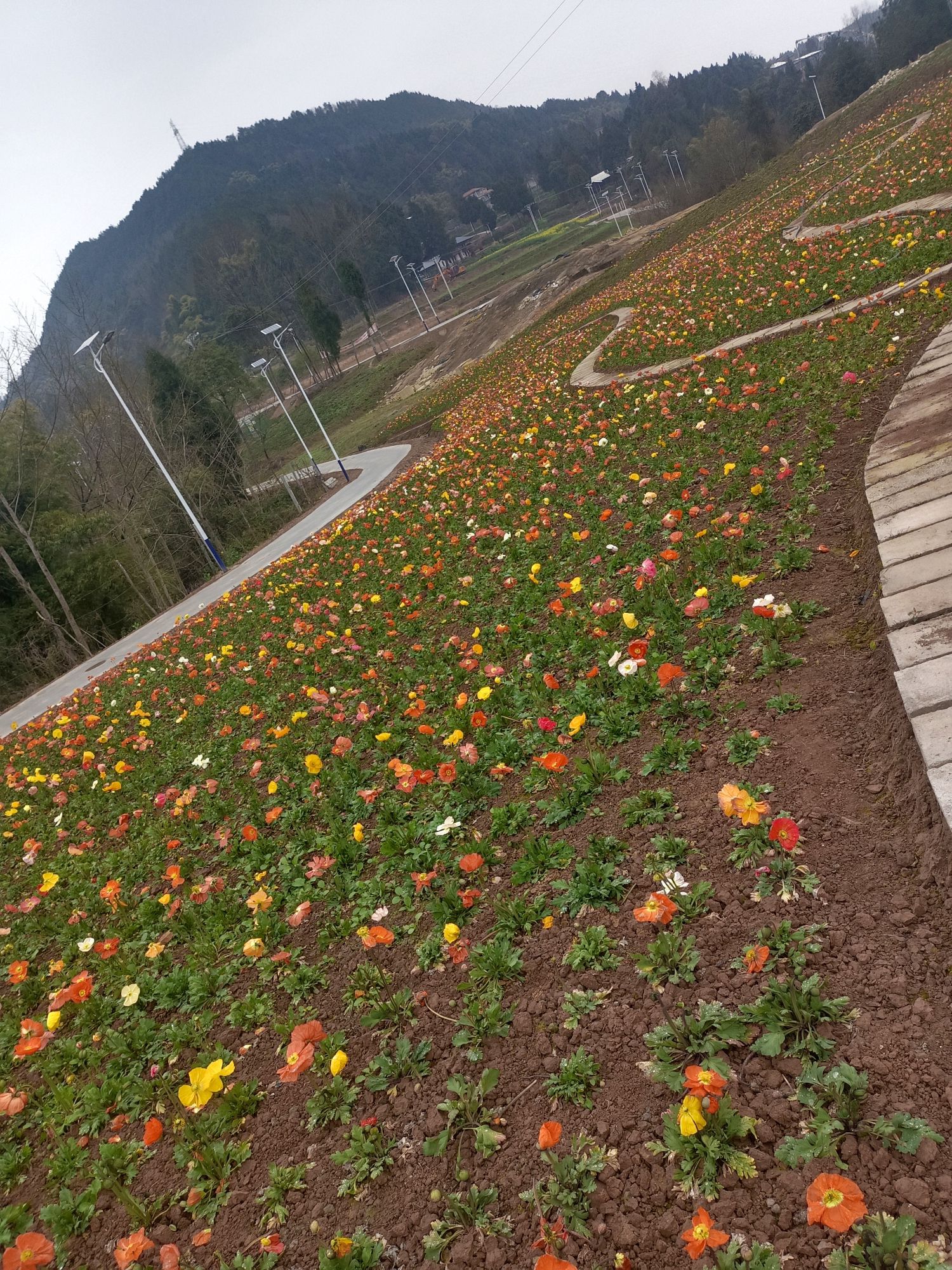 圣谕春天景区旅行图片 2