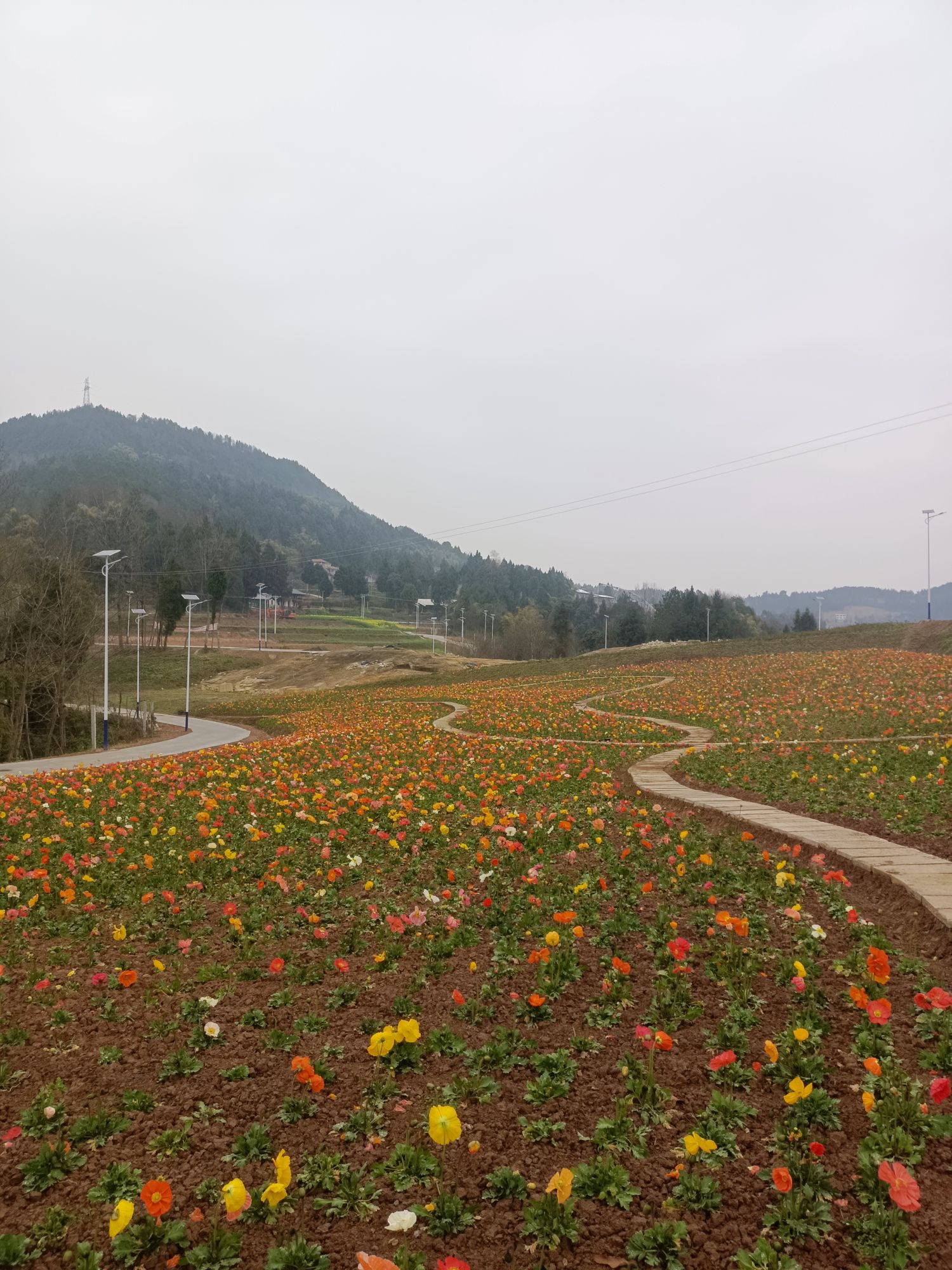 圣谕春天景区旅行图片 3